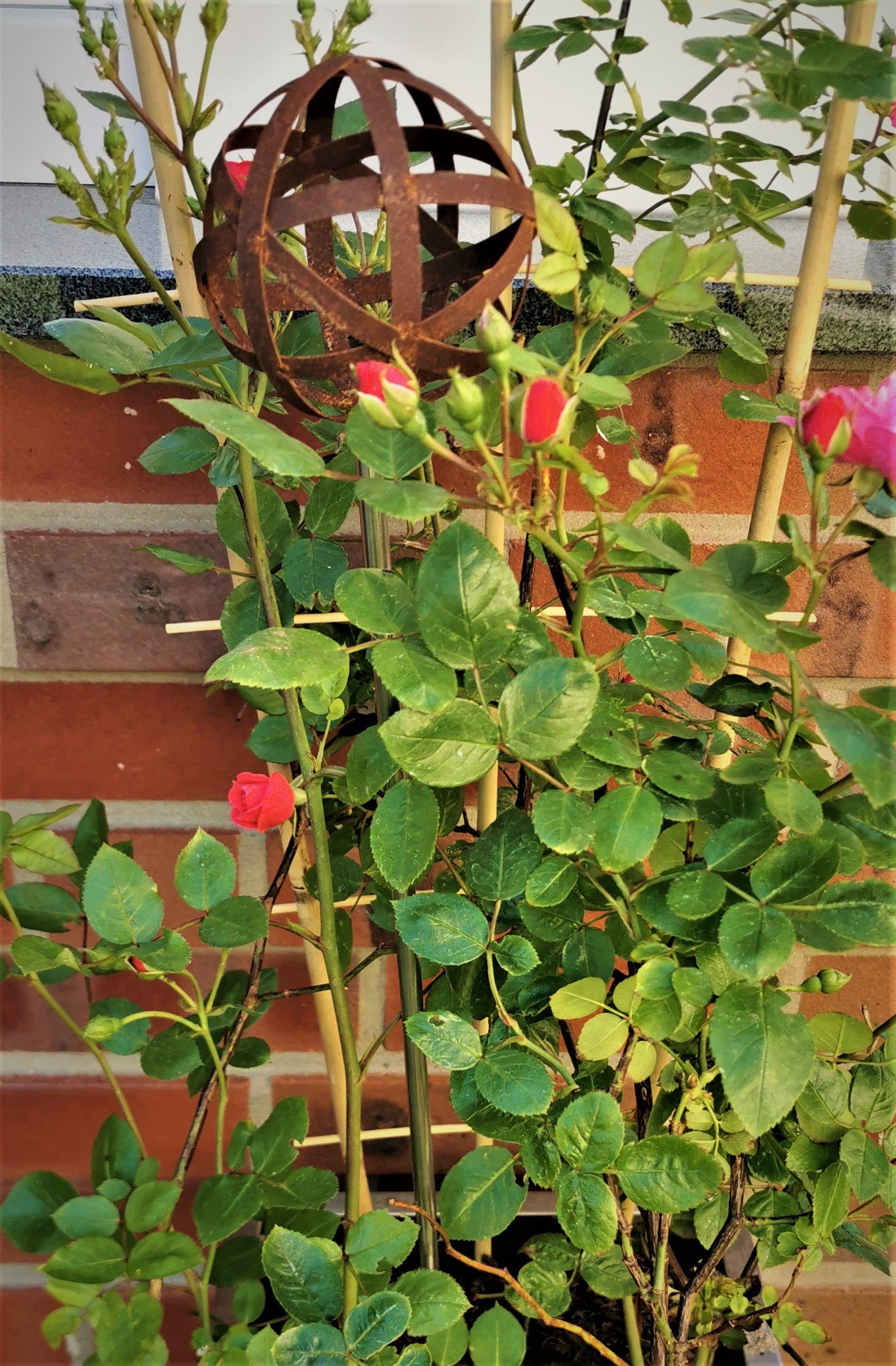 Jürgen Geflecht mit Stab Streifenkugel Roststahl 3er-Set Rosenkugel Garten-Ambiente Bocker Größen Gartenstecker cm verschiedene 80 Cortenstahl im Geflechtkugel