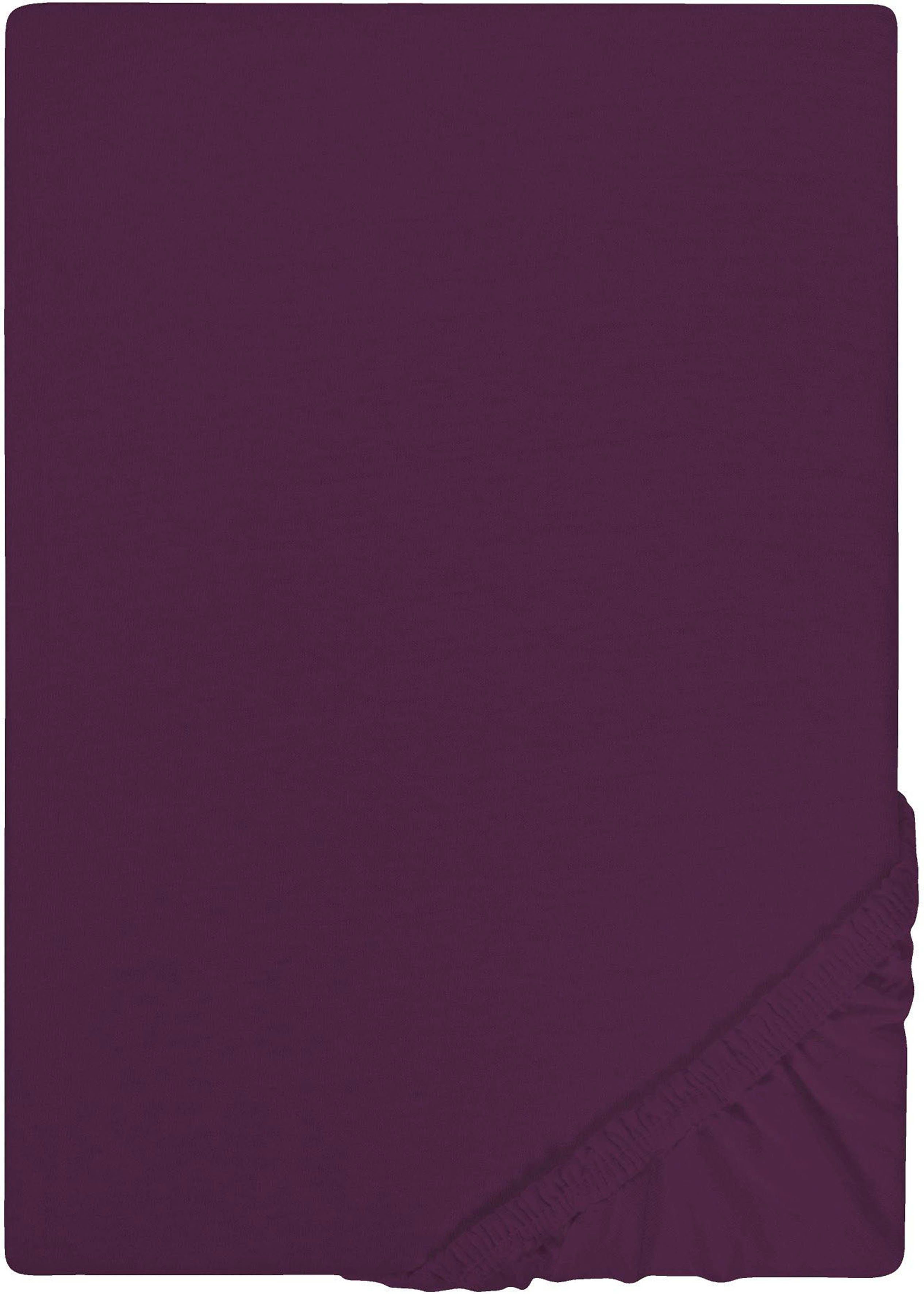 Castell - Markenbettwäsche Spannbettlaken Jersey in günstig online kaufen