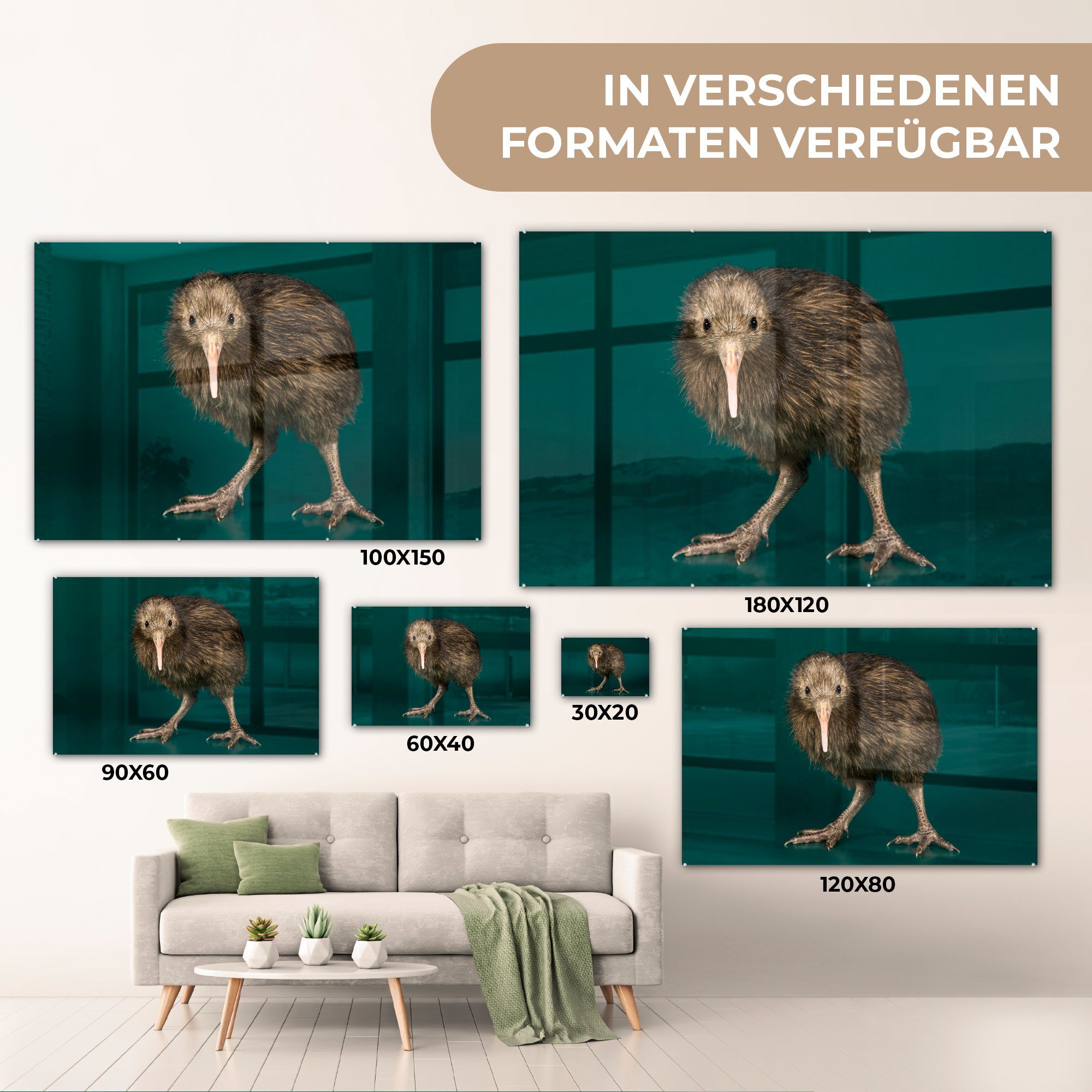 Acrylglasbild - St), Wohnzimmer (1 Grün, Kiwi Vogel - MuchoWow Schlafzimmer Acrylglasbilder &