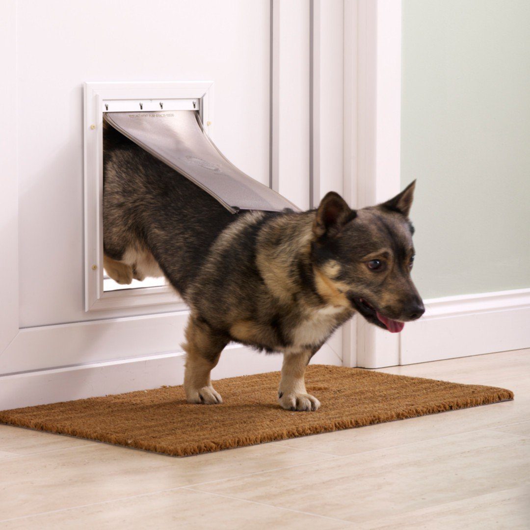 PetSafe Haustierklappe PetSafe K620ML