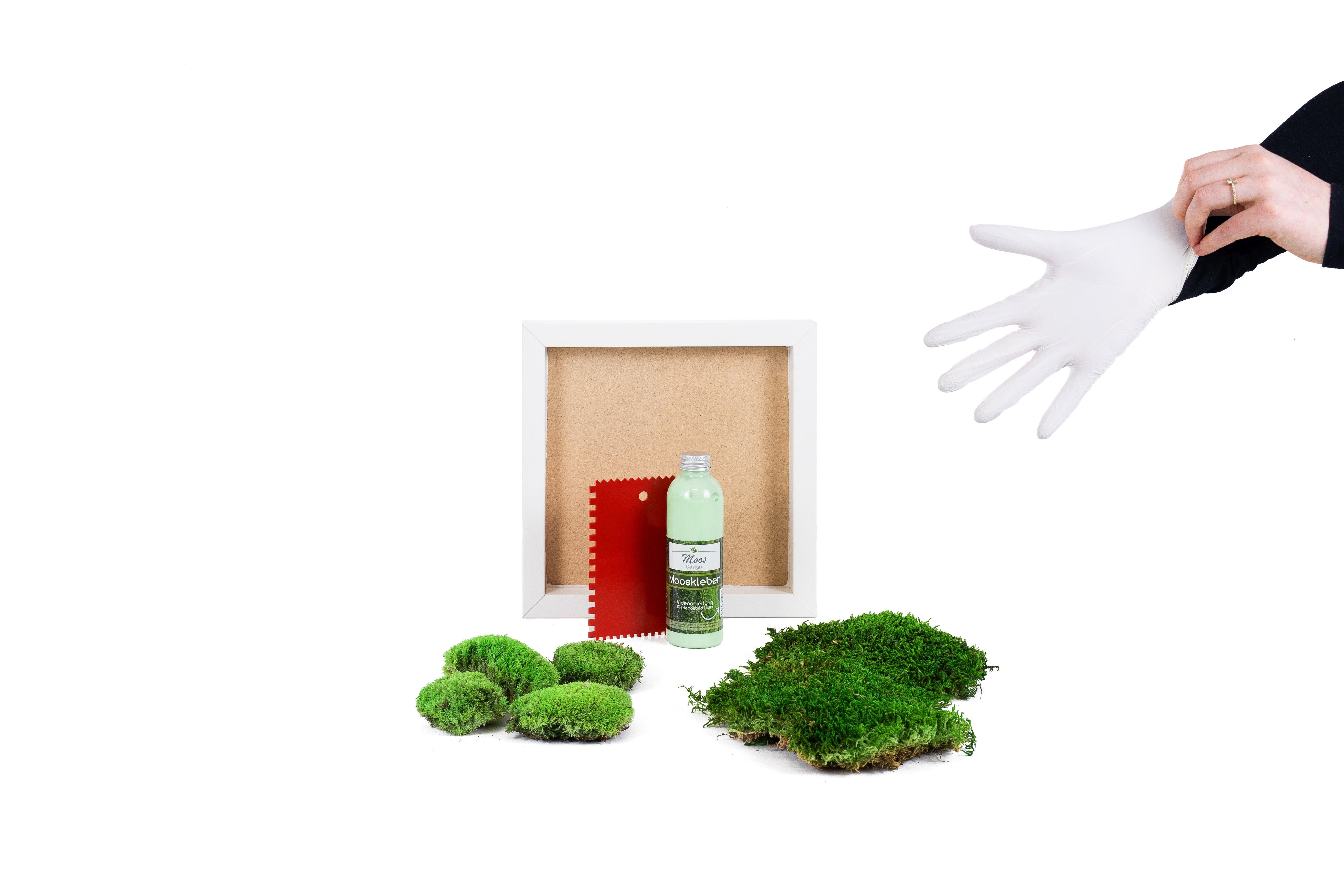 Moos-Design Bild DIY-Moosbild mit 50 % Kugelmoos und 50 % Flachmoos