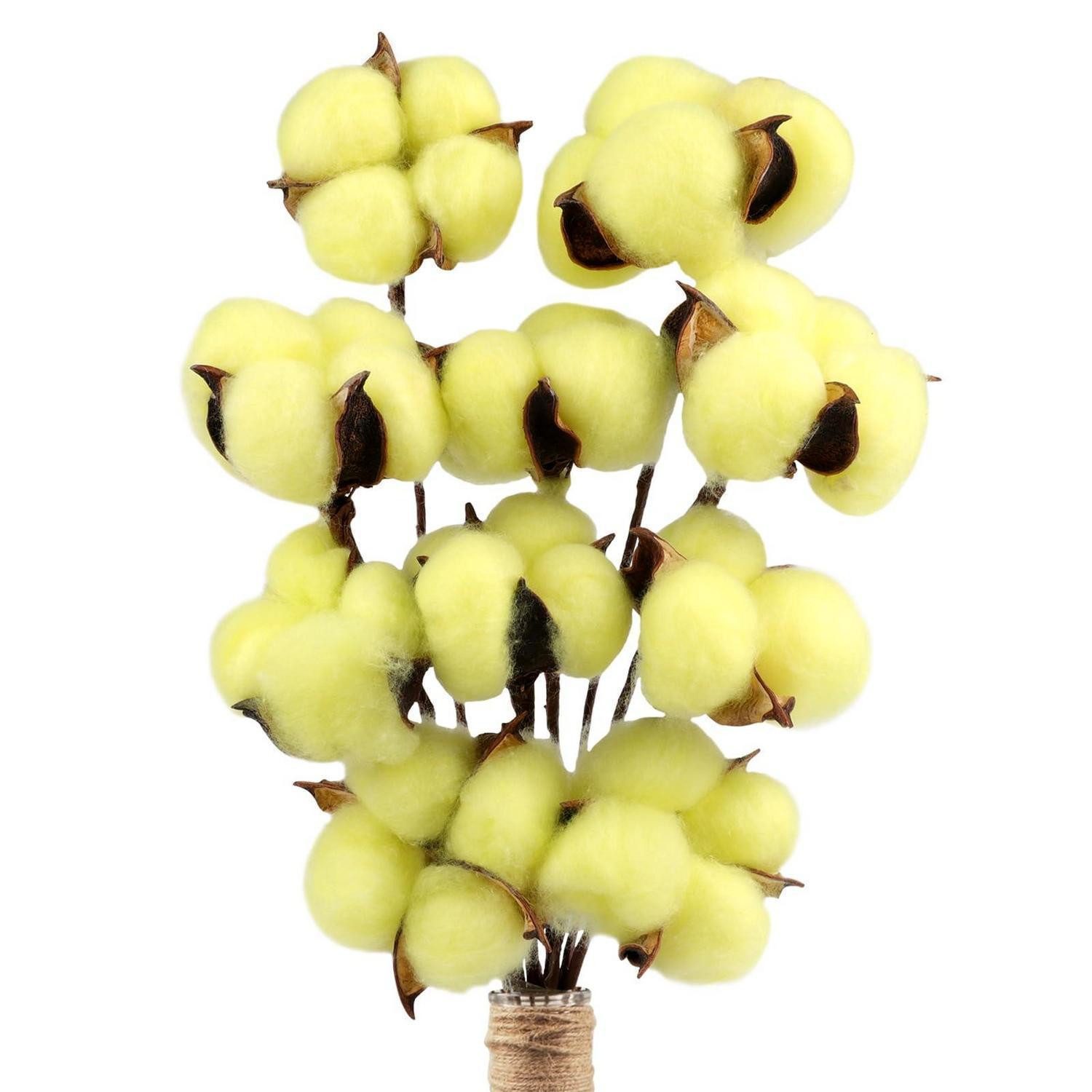 Trockenblume Deko Baumwolle Zweige 10St 39cm Gelb, LuxusKollektion, Höhe 10 cm
