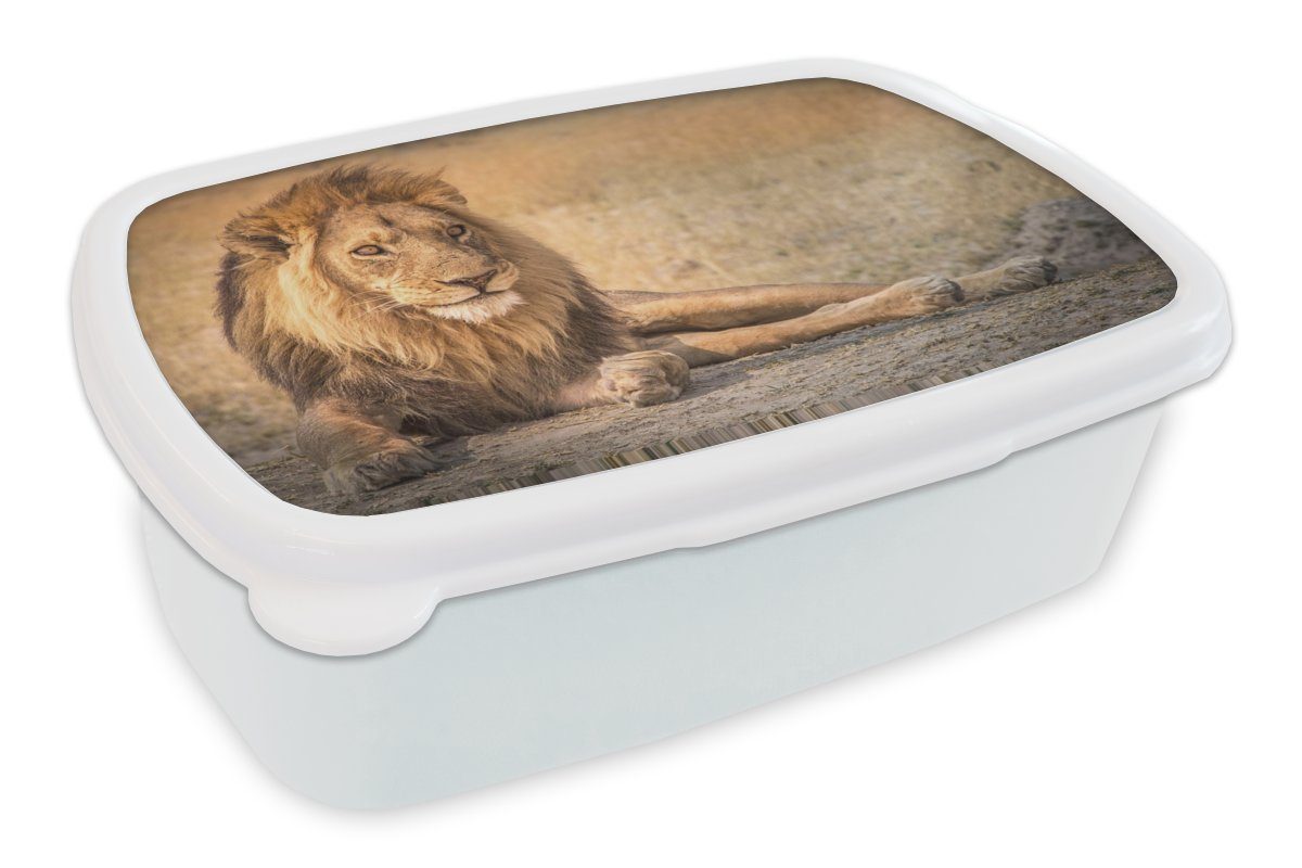 MuchoWow Lunchbox Löwe - Nahaufnahme - Savanne, Kunststoff, (2-tlg), Brotbox für Kinder und Erwachsene, Brotdose, für Jungs und Mädchen weiß