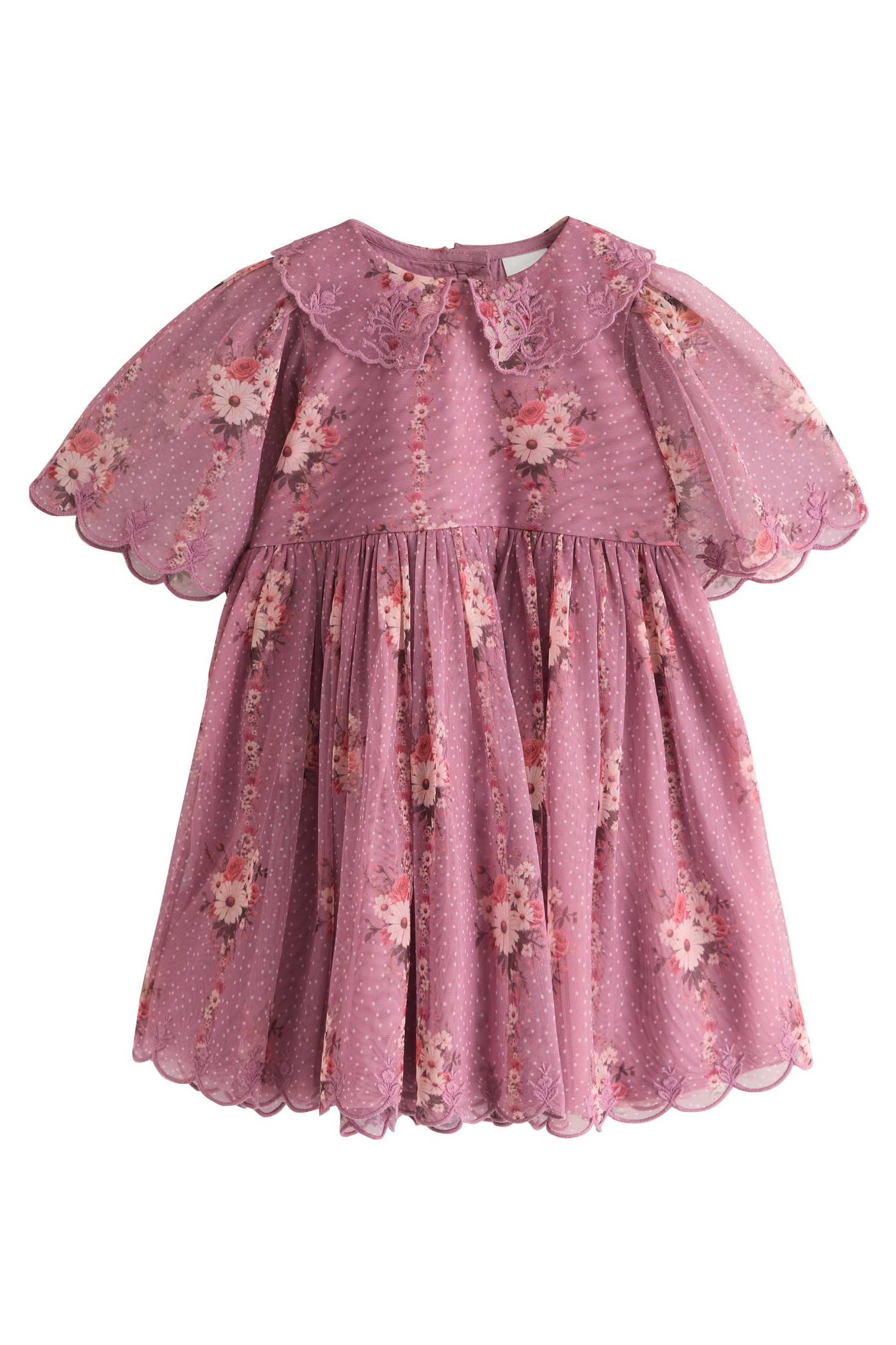 Next Partykleid Kurzärmeliges Festkleid mit Spitzenkragen (1-tlg)
