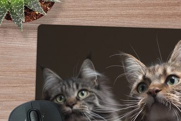 MuchoWow Gaming Mauspad Zwei süße Maine Coon Katzen (1-St), Mousepad mit Rutschfester Unterseite, Gaming, 40x40 cm, XXL, Großes