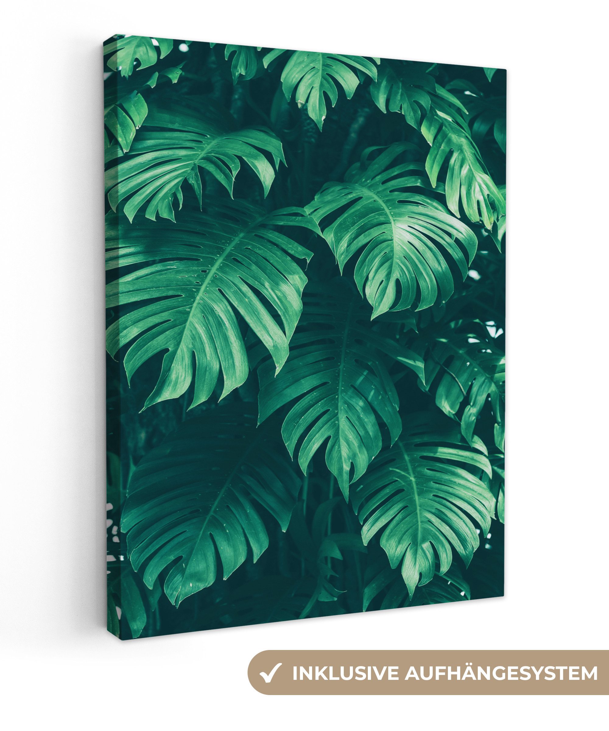OneMillionCanvasses® Leinwandbild Monstera - Blätter - Pflanzen - Dschungel - Natur, (1 St), Leinwand Bilder für Wohnzimmer Schlafzimmer 30x40 cm