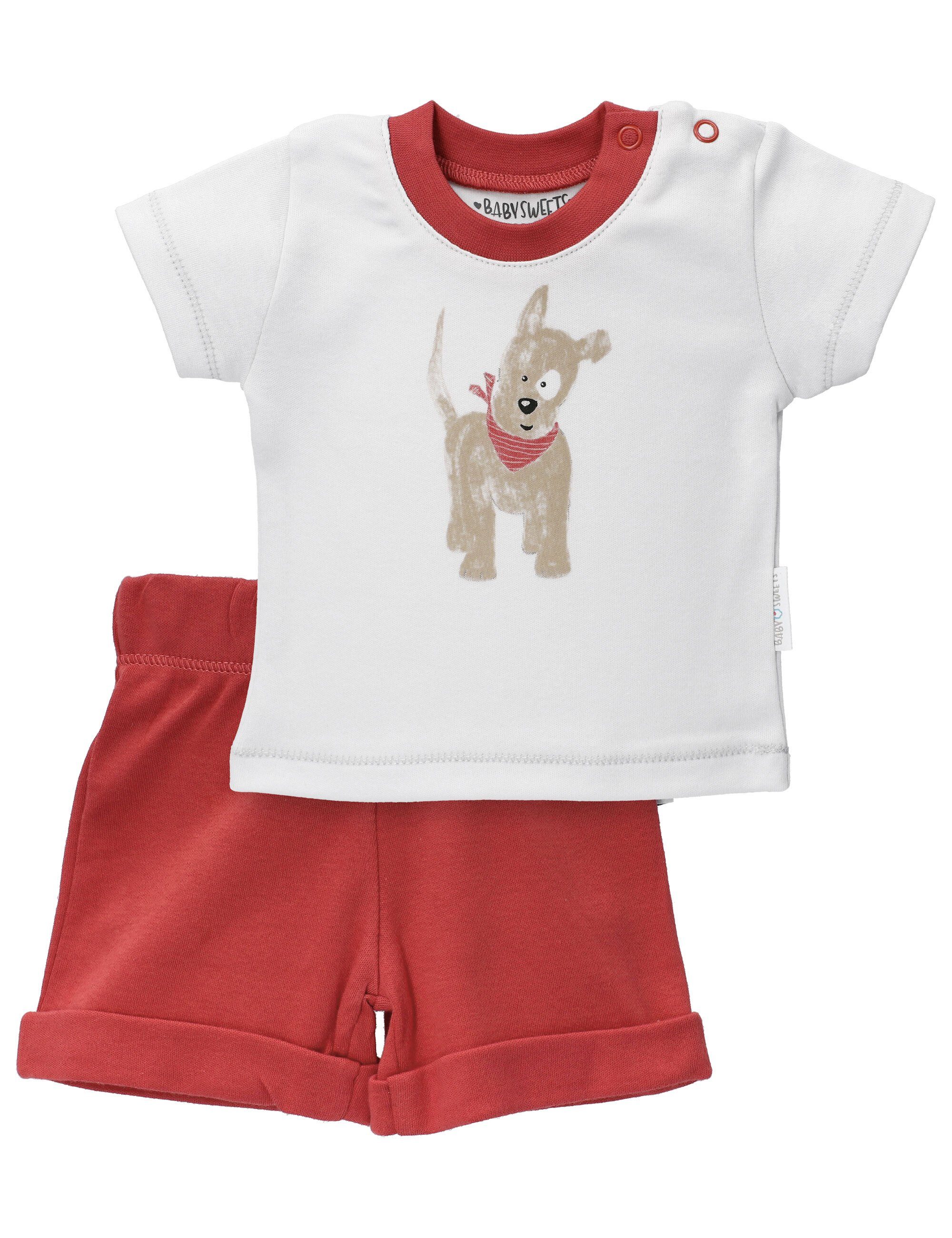Baby Sweets Shirt & Shorts Set Hund (1-tlg., 2 Teile)