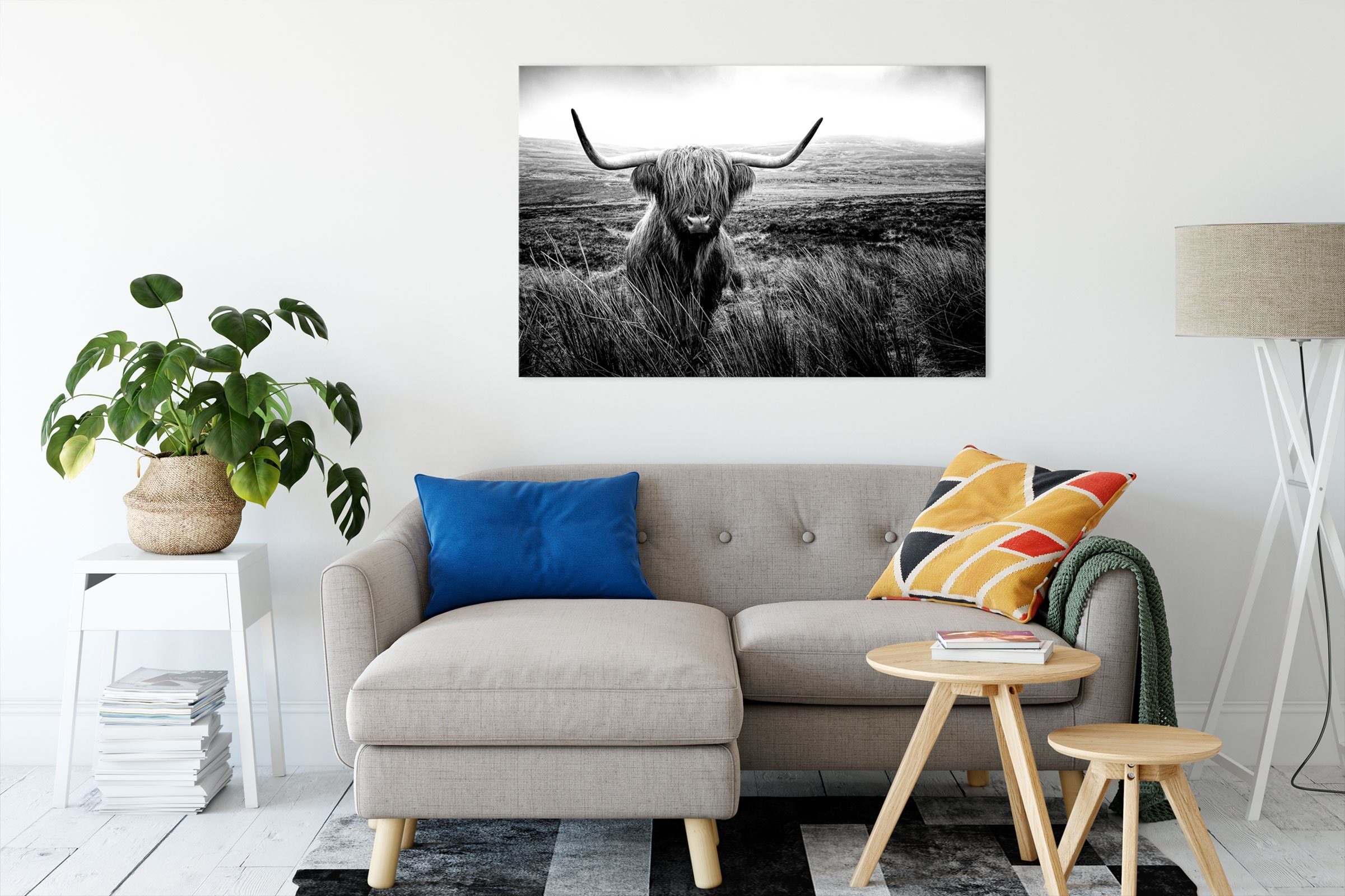 Pixxprint Leinwandbild Highland Rind mit großen Hörnern Steppe, Monochrome, günstig online kaufen