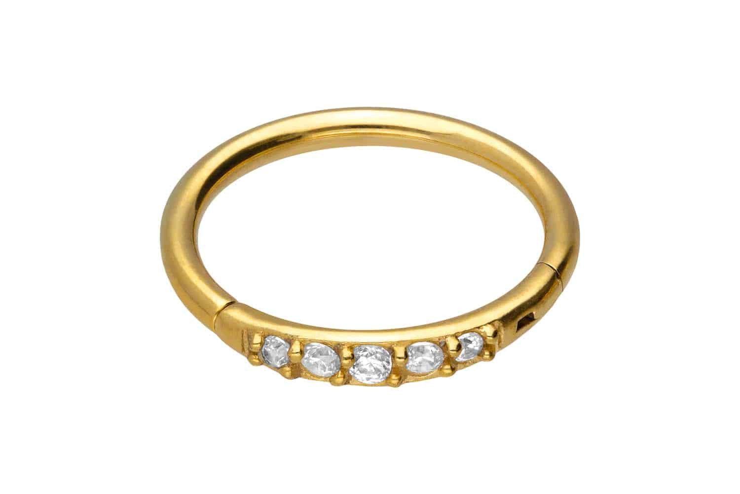 Nasenpiercing Chirurgenstahl Segmentring Clicker 5 EINGEFASSTE KRISTALLE Ohrpiercing