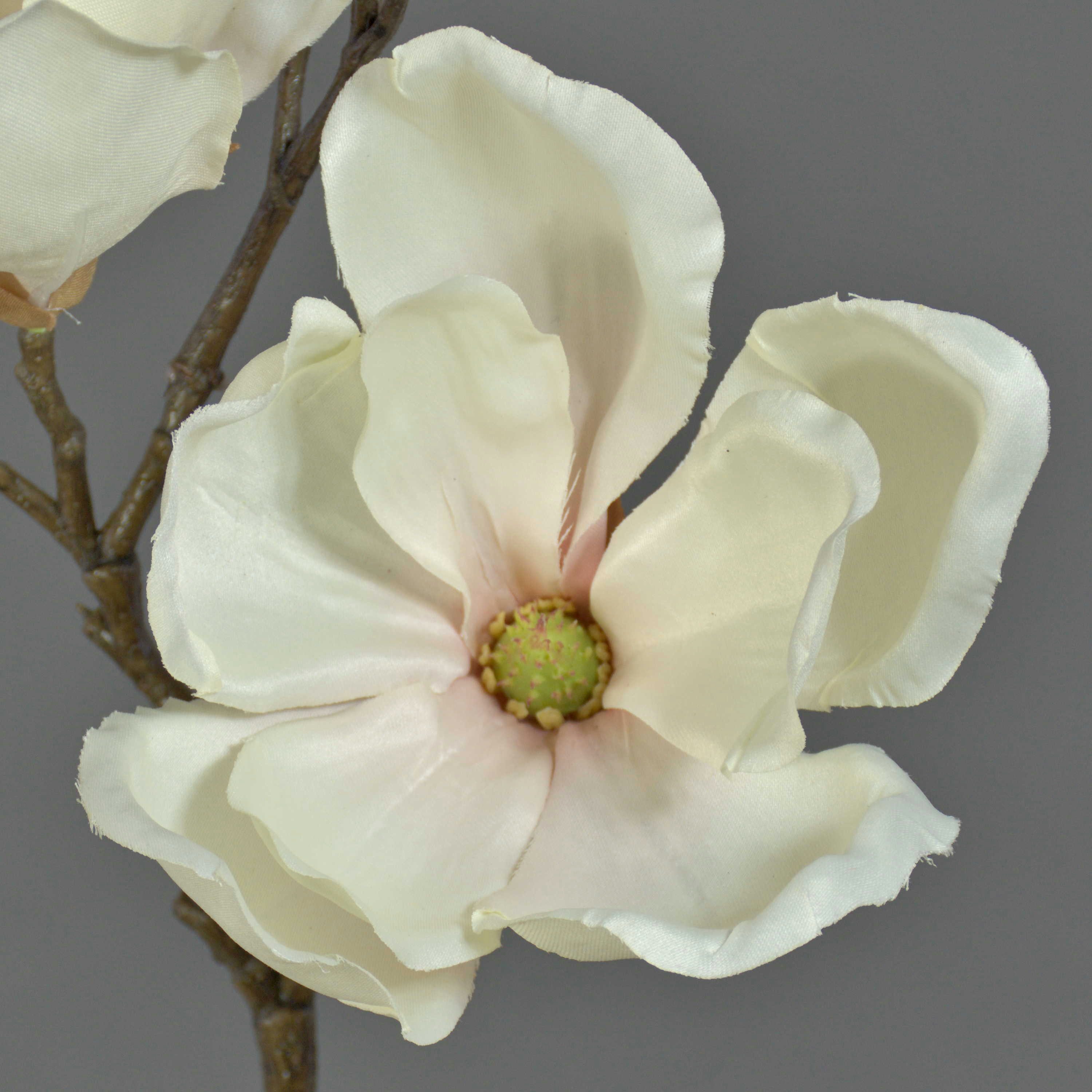 Kunstzweig Künstlicher Magnolien Zweig MALBINE, 2 Blüten, weiß - rosa, 50cm Magnolie, artplants, Höhe 50.0 cm