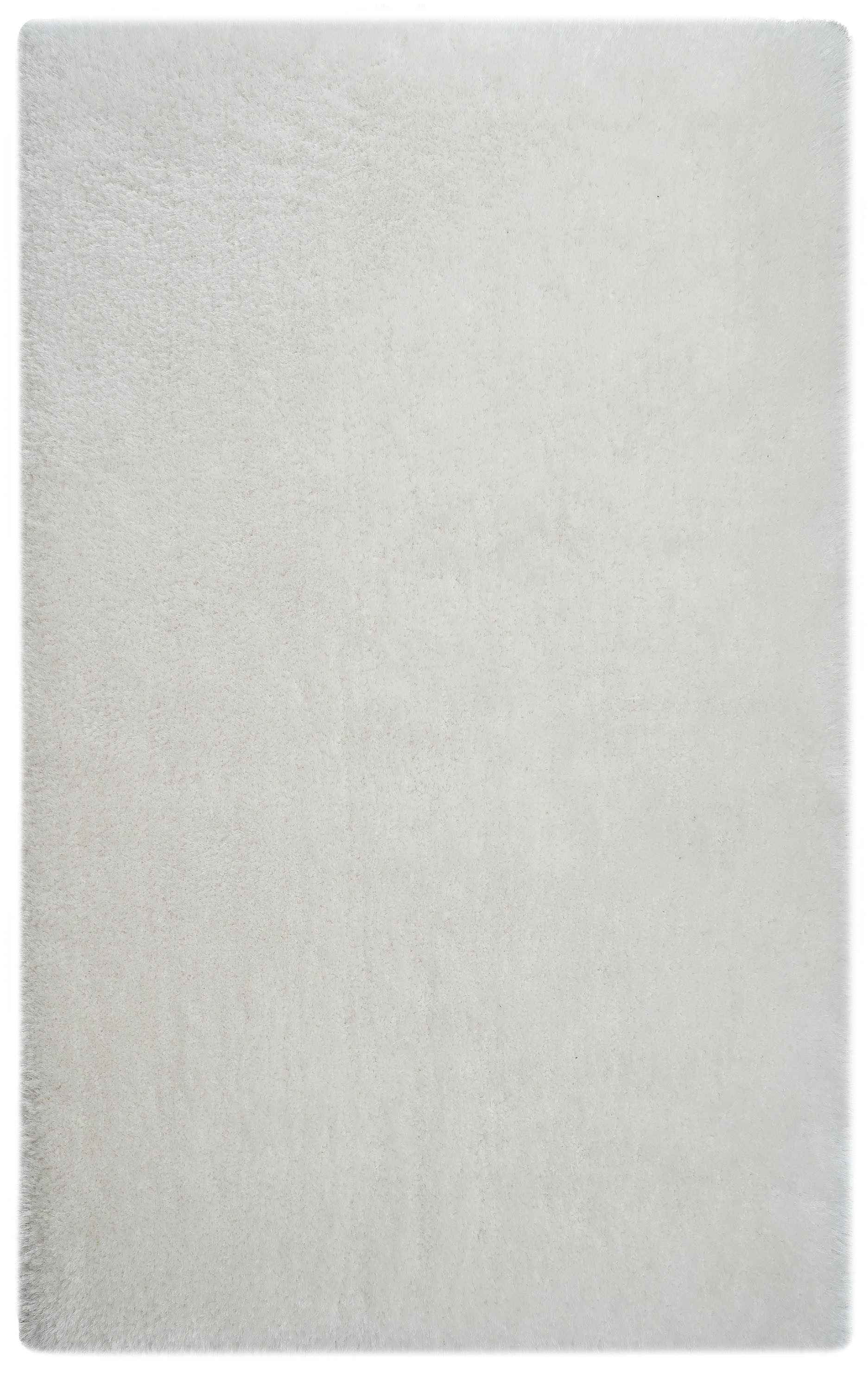 my home Hochflor-Teppich Micro exclusiv Teppich, günstig online kaufen