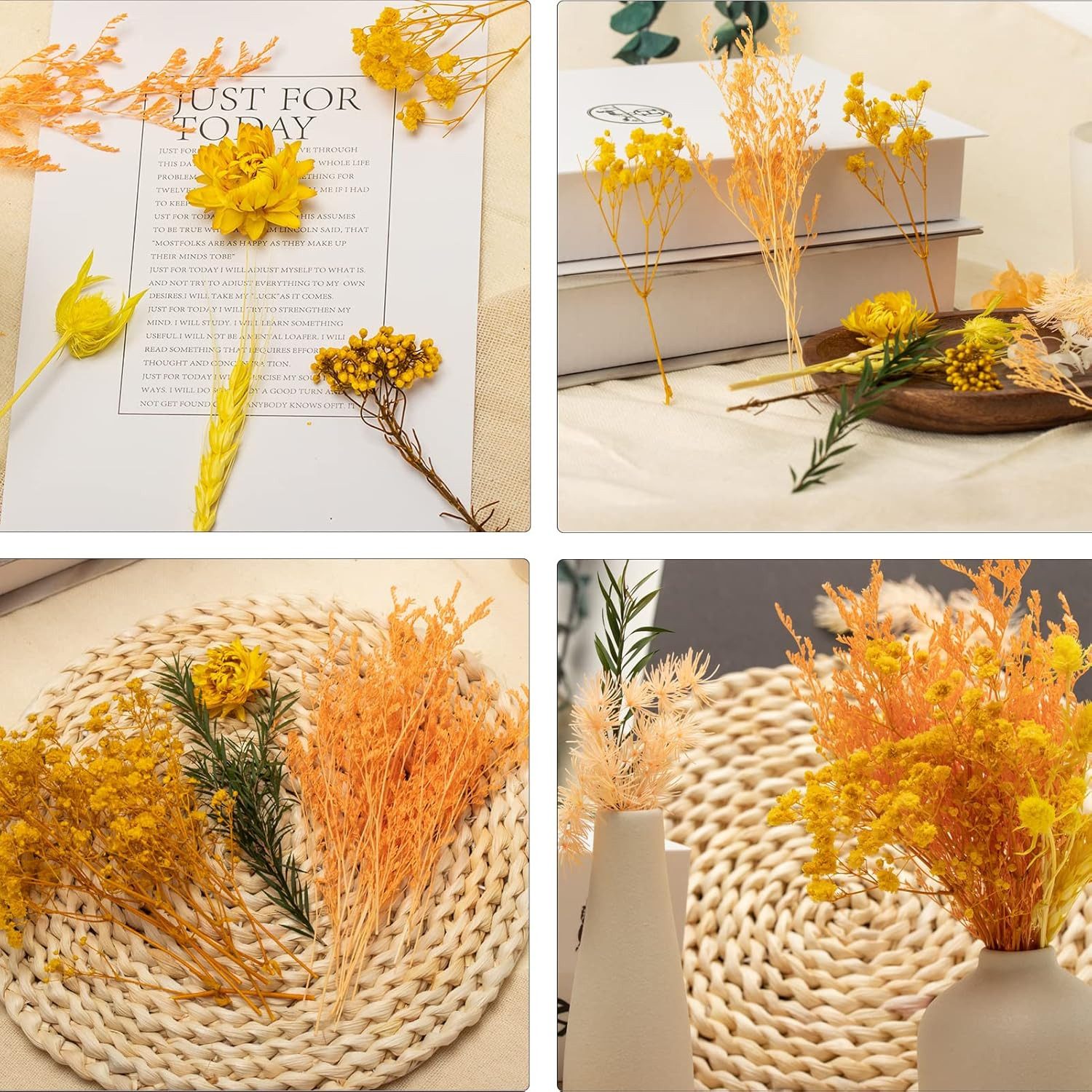 Trockenblume Pampasgras Zum Basteln Mini Trockenblumen, Minicloss, für Kunst Basteln DIY Harz Scrapbooking Heimdekoration