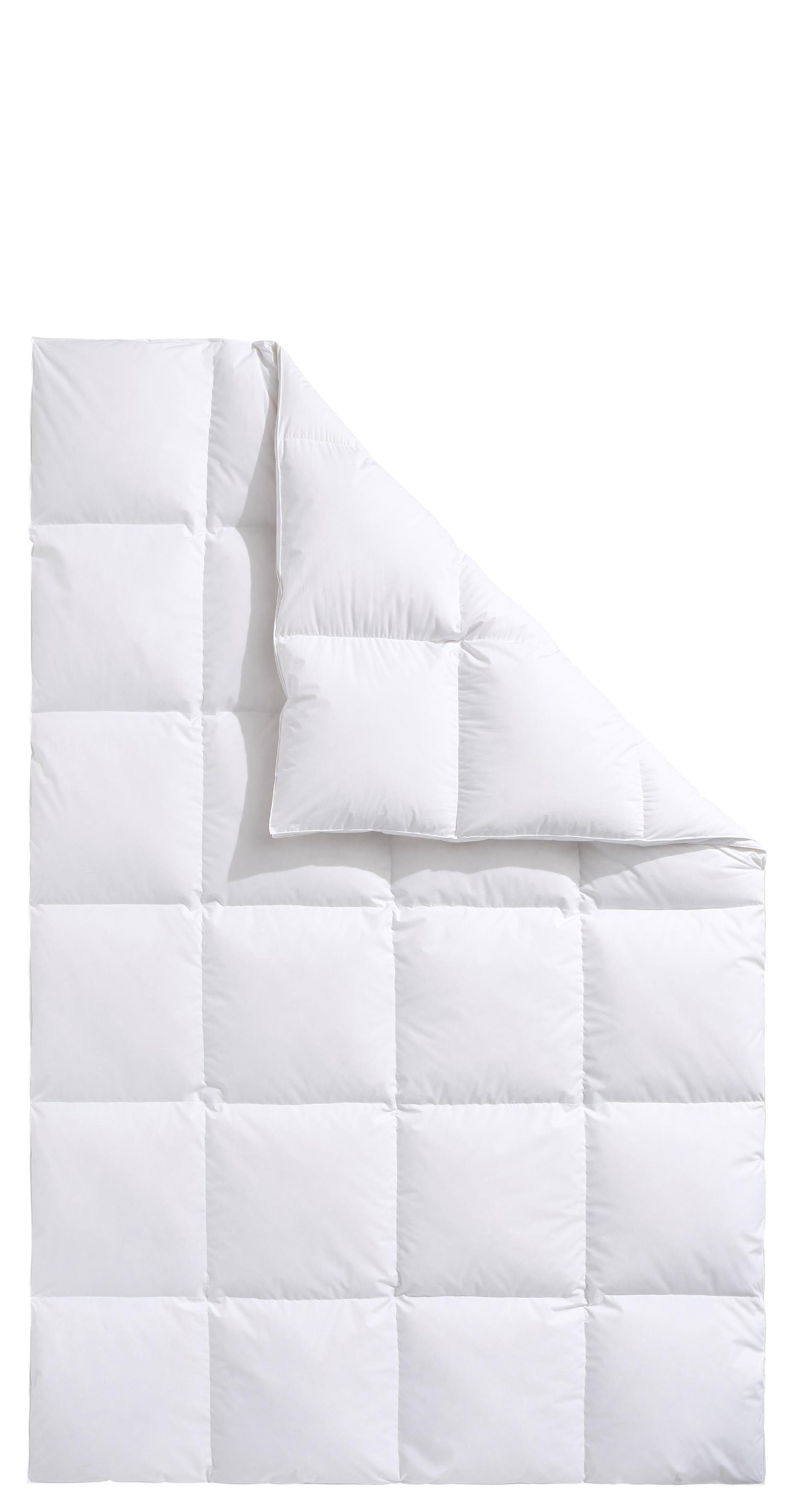 Haeussling Daunenbettdecke Swiss Royal, Bettdecken für Sommer und Winter, G günstig online kaufen