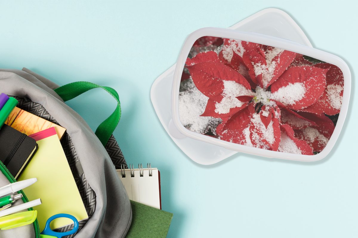 MuchoWow Lunchbox Kunststoff, Jungs - Brotbox für Weihnachtsblume, Kinder Christrose Mädchen (2-tlg), und für Brotdose, und Erwachsene, weiß