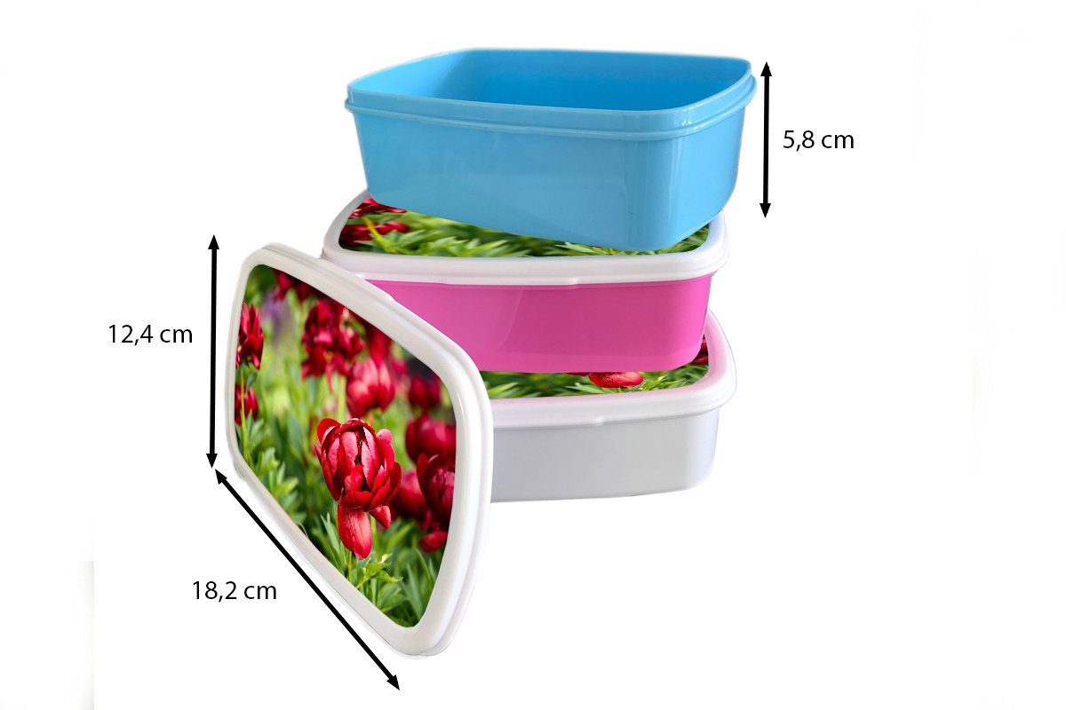 MuchoWow Lunchbox Ein Brotbox Pfingstrosen, roter Snackbox, Kunststoff, rosa Kinder, Garten voller Kunststoff Erwachsene, für Mädchen, (2-tlg), Brotdose