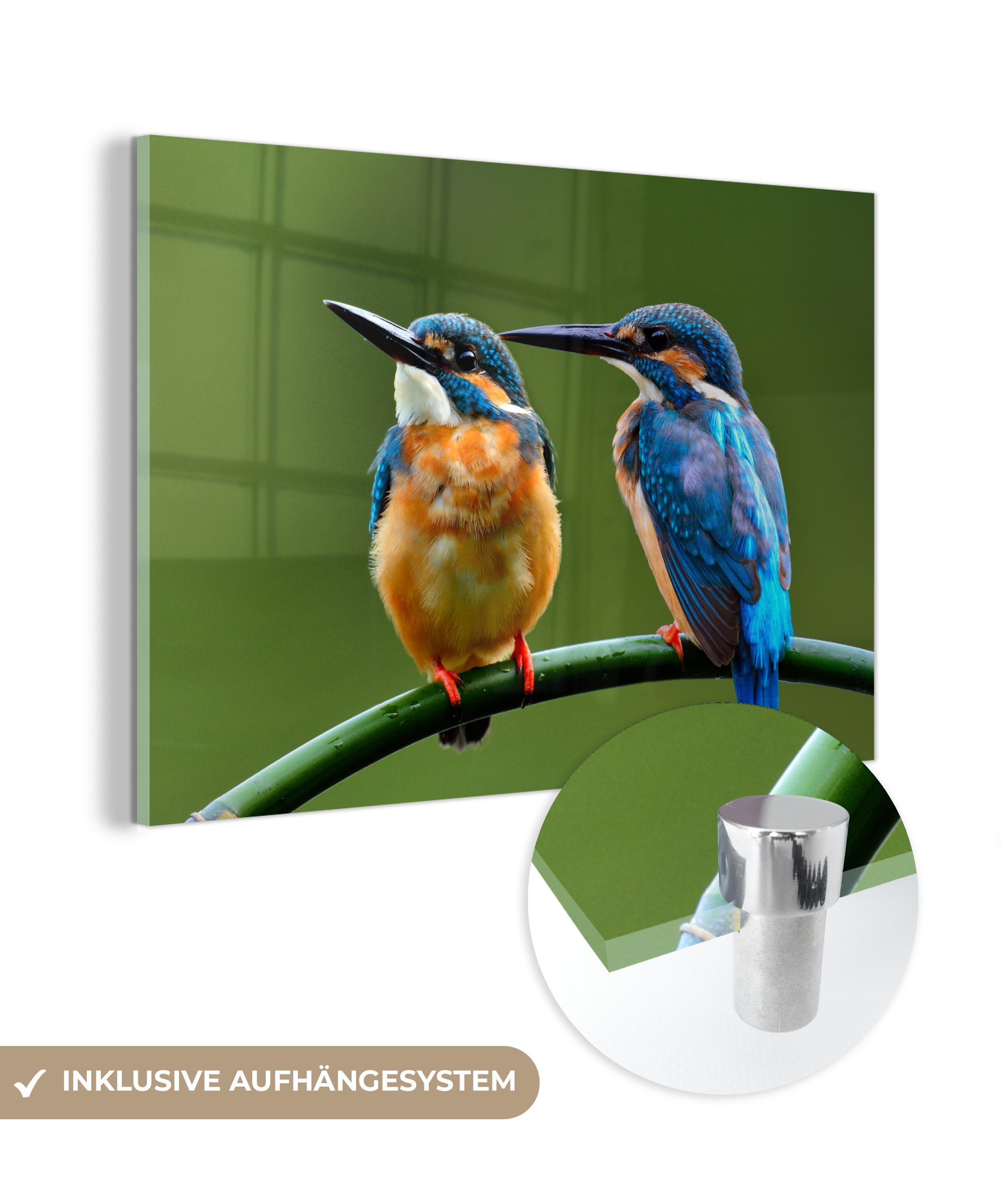 MuchoWow Acrylglasbild Liebe - Schilf - Eisvogel, (1 St), Acrylglasbilder Wohnzimmer & Schlafzimmer | Bilder