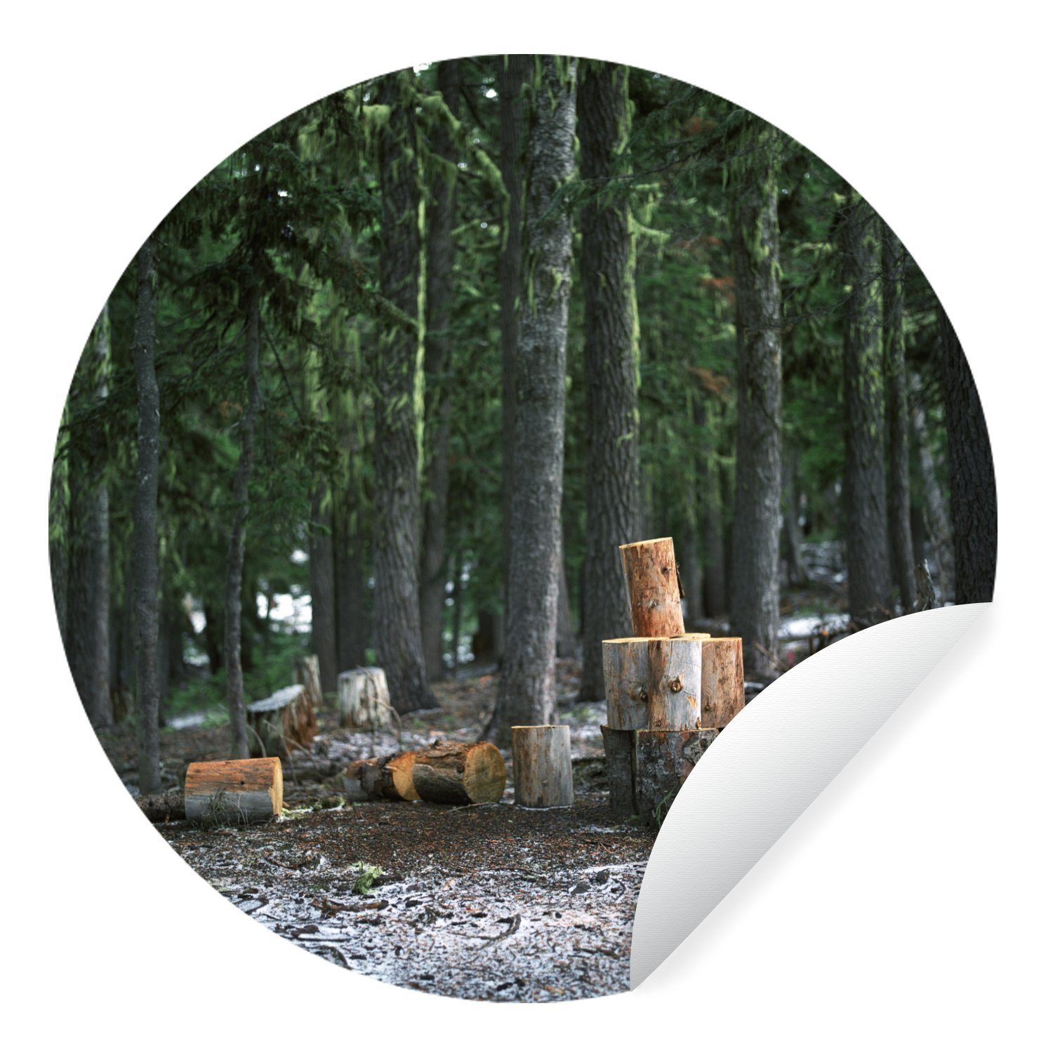 MuchoWow Wandsticker Mehrere kürzlich gefällte Baumstämme in einem Wald (1 St), Tapetenkreis für Kinderzimmer, Tapetenaufkleber, Rund, Wohnzimmer