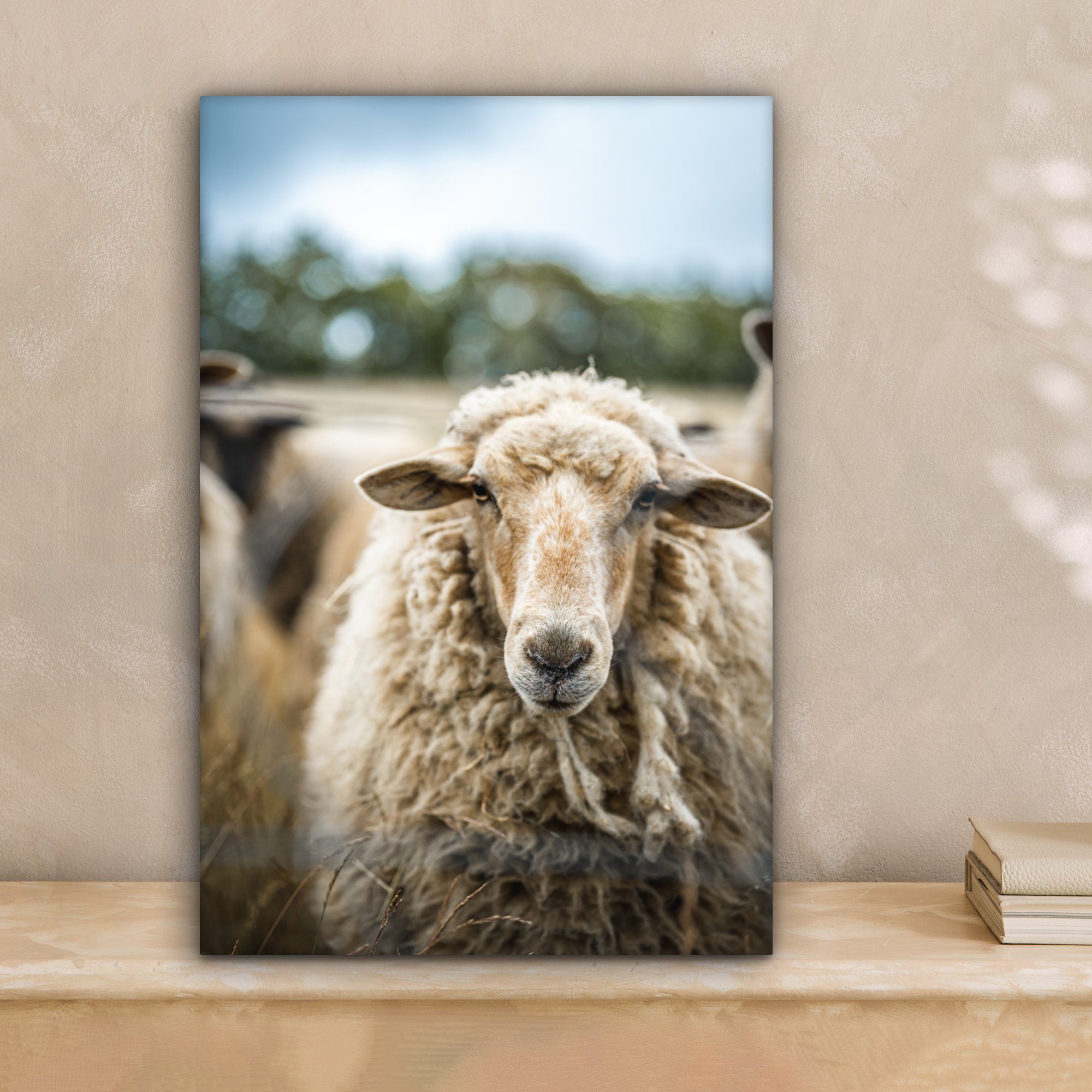 Leinwandbild St), 20x30 inkl. Gemälde, bunt (1 cm eines Zackenaufhänger, Leinwandbild Schafes, bespannt OneMillionCanvasses® Porträt fertig