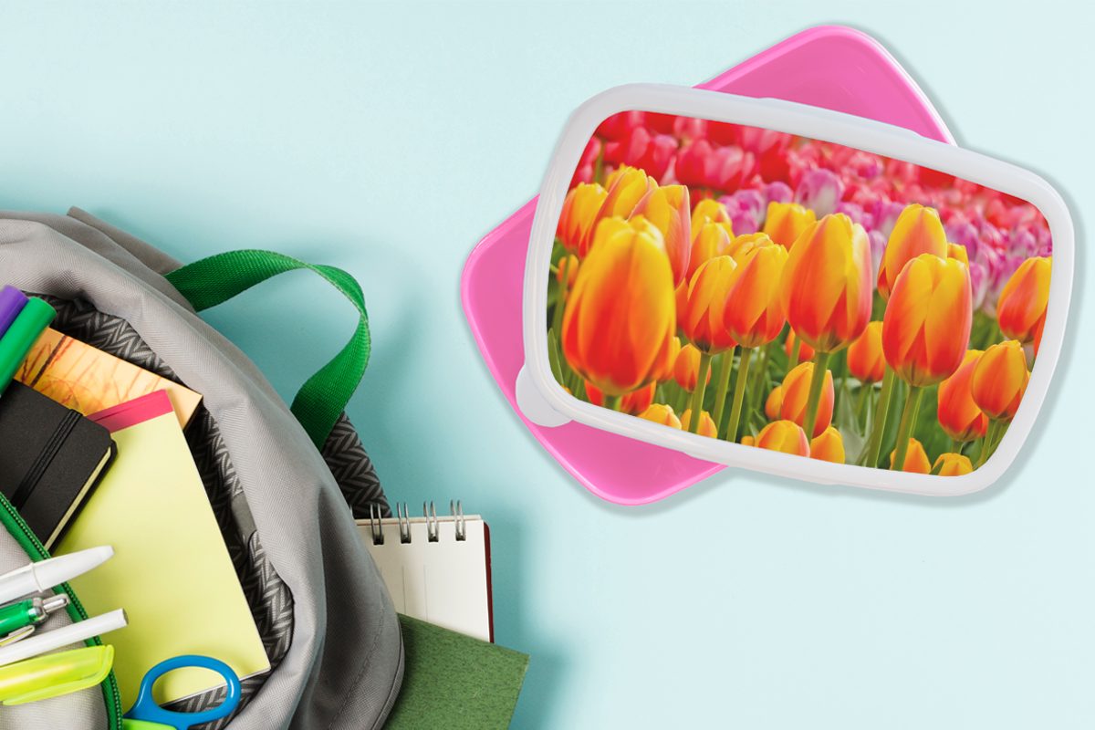 Tulpen Niederlanden, Orangene Snackbox, auf Kunststoff für in Brotbox Lunchbox Erwachsene, Kinder, Keukenhof den dem Brotdose (2-tlg), Mädchen, Kunststoff, MuchoWow rosa