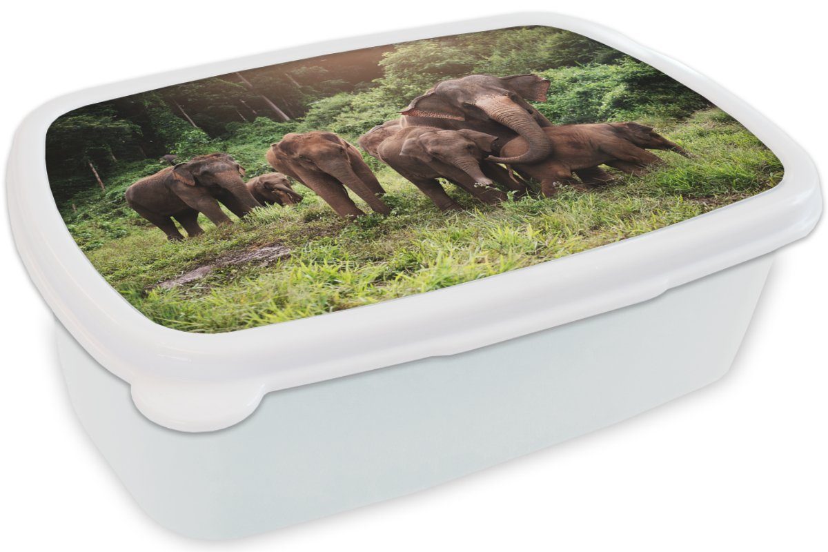 Lunchbox Grün, für Tiere und Erwachsene, Brotdose, Elefant weiß - Kinder Jungs Gras und Wald Mädchen (2-tlg), Brotbox Kunststoff, - - - für MuchoWow