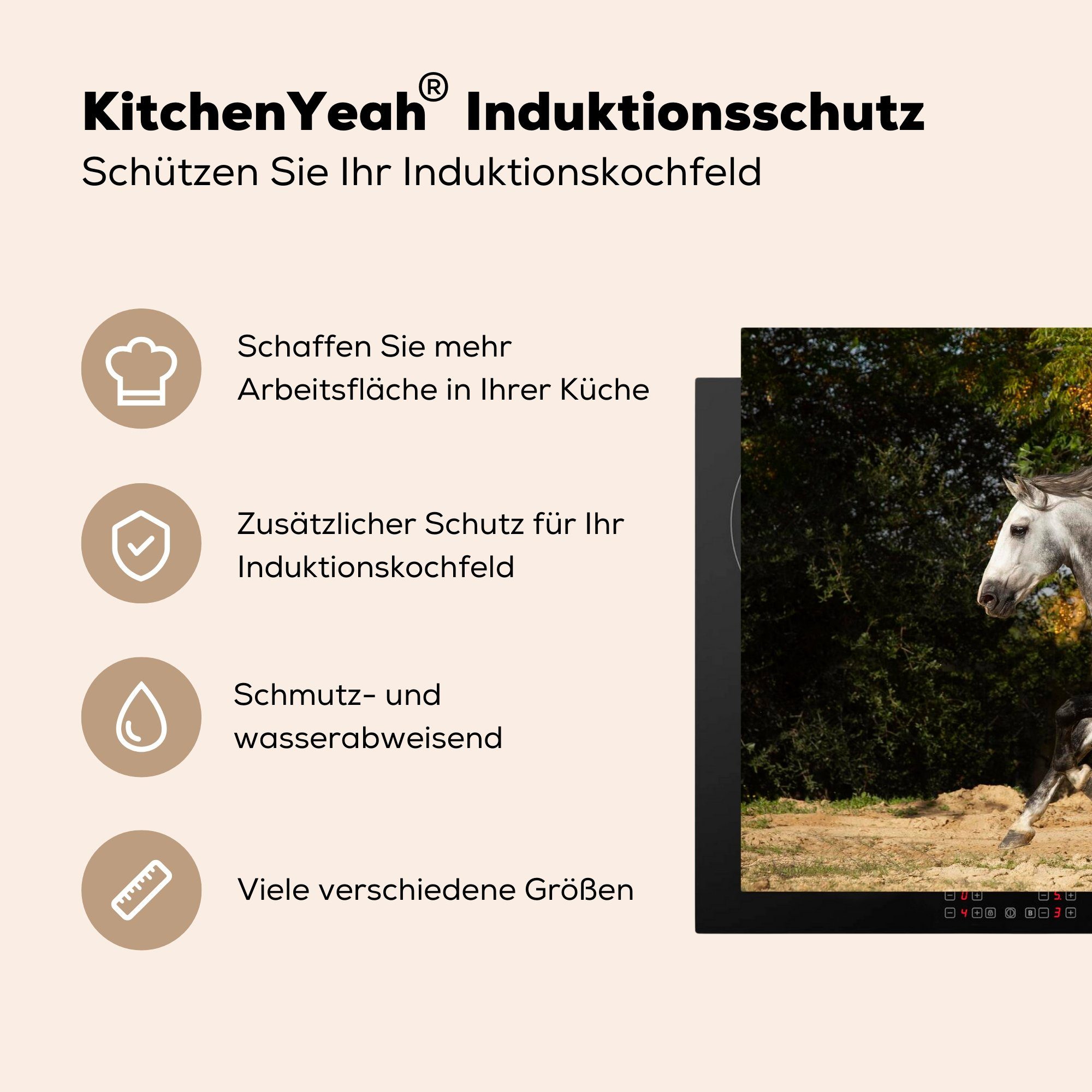 die küche, MuchoWow - Schutz Herdblende-/Abdeckplatte (1 für Vinyl, - Andalusier Weiß Pferd Ceranfeldabdeckung Gras, - cm, 81x52 Induktionskochfeld tlg),