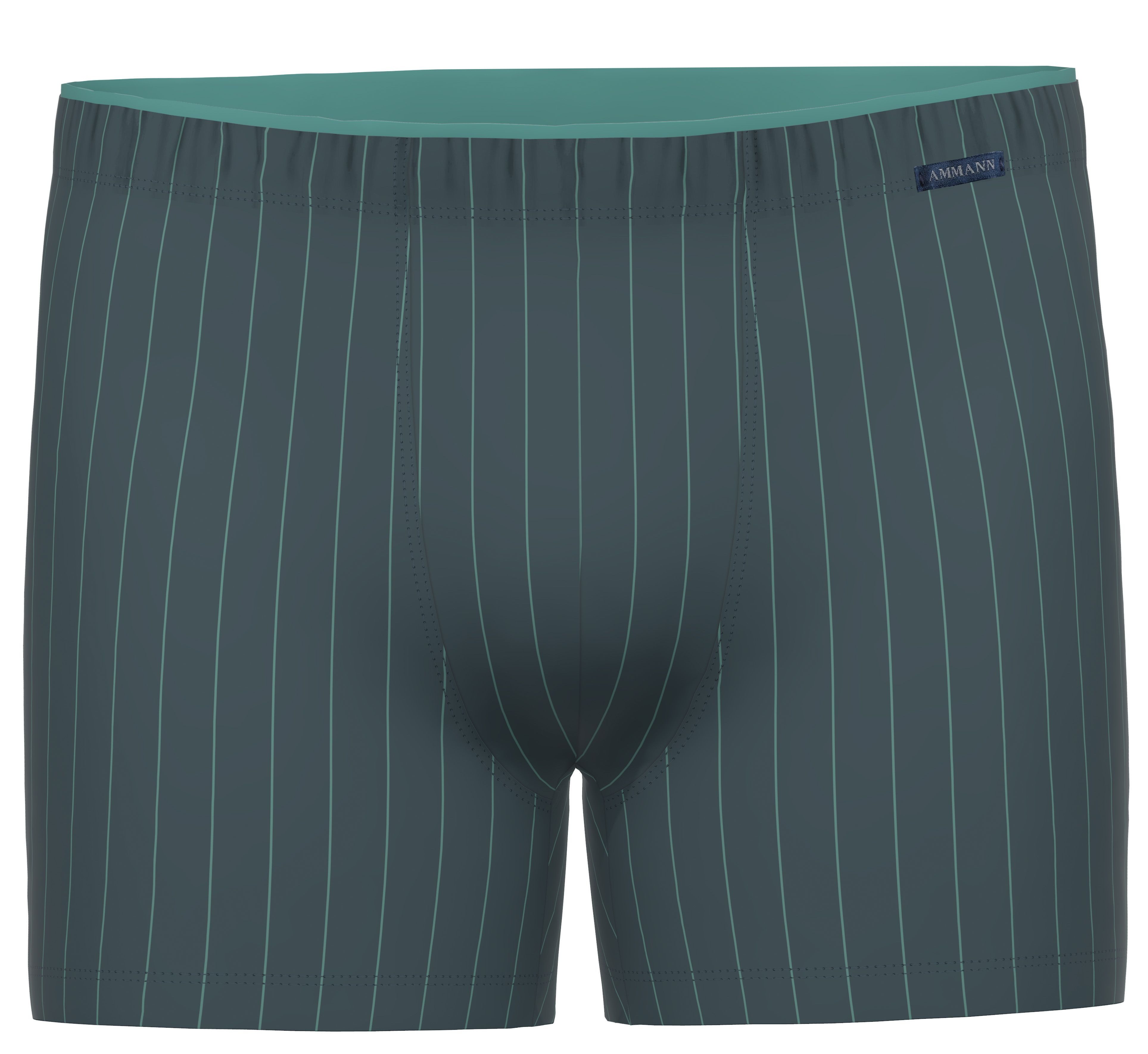 Ammann Slip