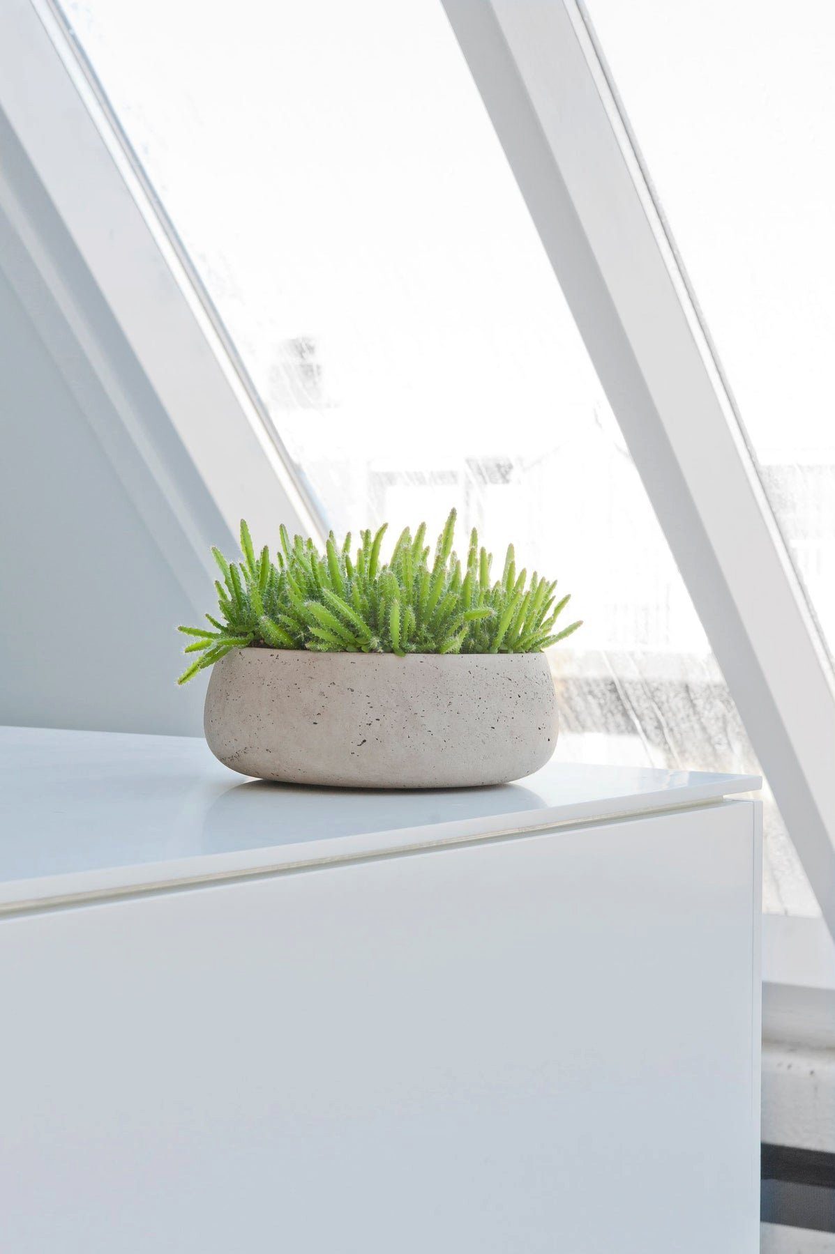 finestgreen Pflanzschale Handgefertigte Pflanzschale Eileen günstig online kaufen