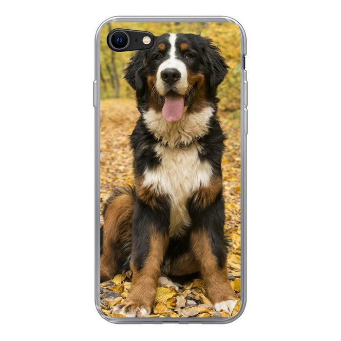 MuchoWow Handyhülle Ein Berner Sennenhund mit schönem Herbstlaub Handyhülle Apple iPhone SE (2020) Smartphone-Bumper Print Handy