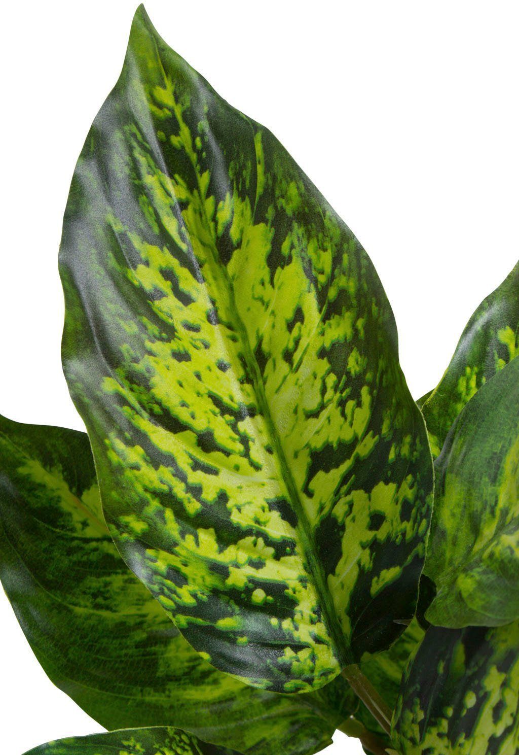 Künstliche Zimmerpflanze Dieffenbachia cm Höhe Botanic-Haus, Tropic, 26