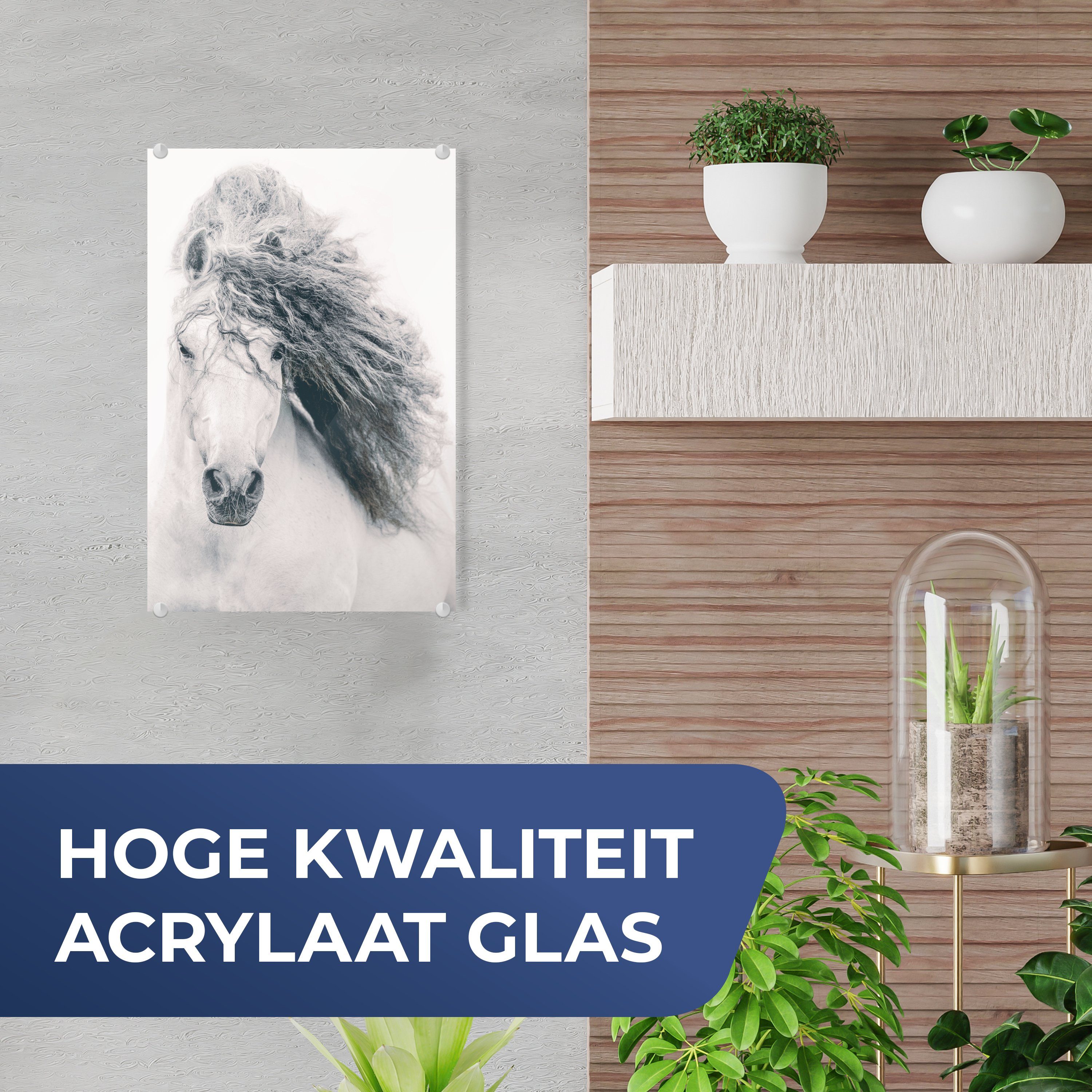 MuchoWow Acrylglasbild Pferd - Grau Glasbilder Bilder (1 St), Foto Glas - Wanddekoration Glas - - Mähne, auf Wandbild - auf