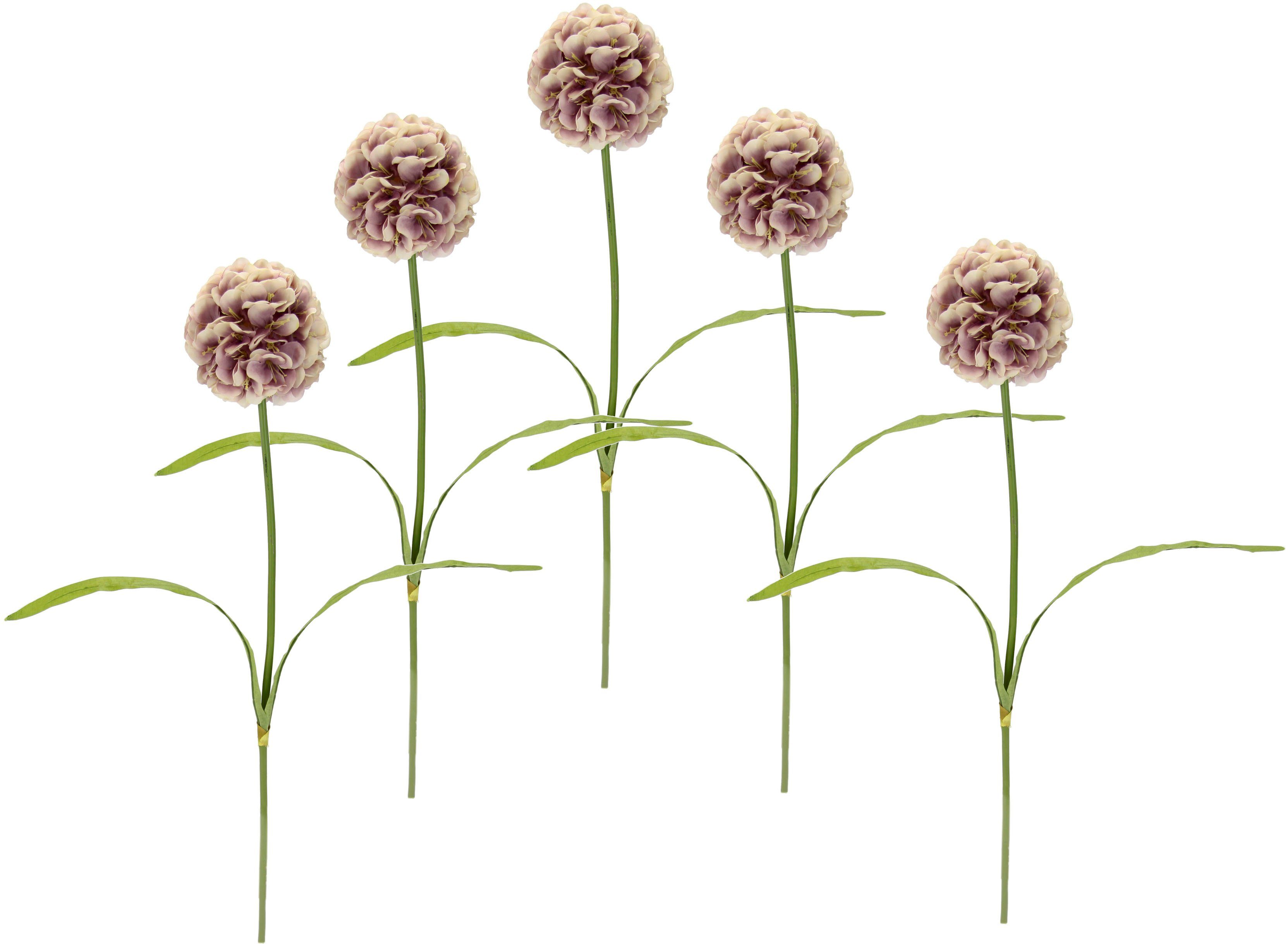 Kunstblume 67 Allium, cm, mauve I.GE.A., Set 5er Höhe