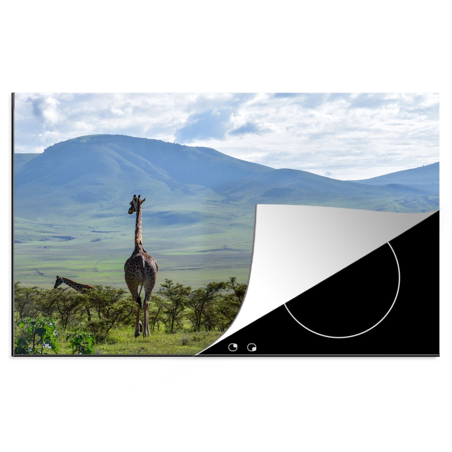 MuchoWow Herdblende-/Abdeckplatte Giraffen zwischen den Bäumen im Ngorongoro-Krater, Vinyl, (1 tlg), 81x52 cm, Induktionskochfeld Schutz für die küche, Ceranfeldabdeckung