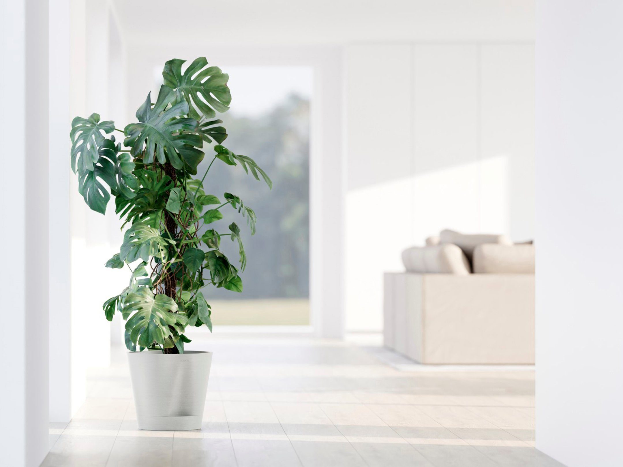 ECOPOTS Blumentopf Venice 2 30 Weiß, günstig online kaufen