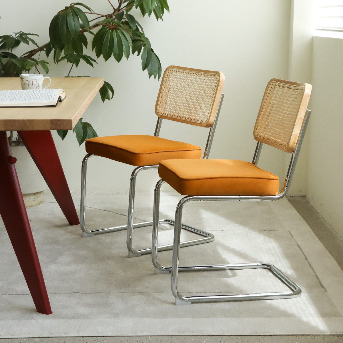 HAUSS SPOLE Esszimmerstuhl 2-tlg Samt-Akzentstühle Küchenstuhl Netzstruktur-Rückenlehne,Orange (Freischwinger-Stuhl mit Wiener Geflecht), Möbel ohne Armlehnen