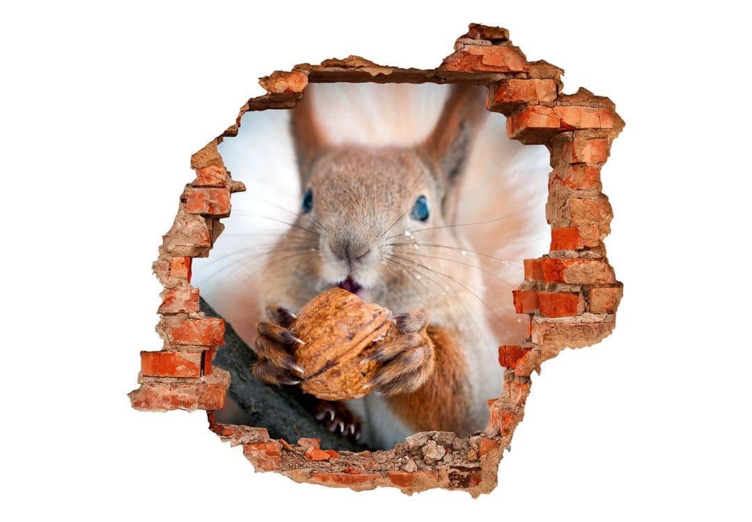 K&L Wall Art Wandtattoo 3D Wandtattoo Waldtiere Wandsticker Kinder Eichhörnchen mit Nuss, Mauerdurchbruch Wandbild selbstklebend