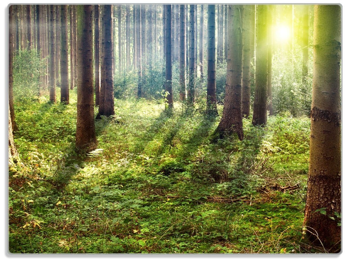 Bäumen, Wald 1-St), 4mm, Schneidebrett im Sonnenuntergang den 30x40cm ESG-Sicherheitsglas, Gummifüße zwischen (inkl. Wallario rutschfester