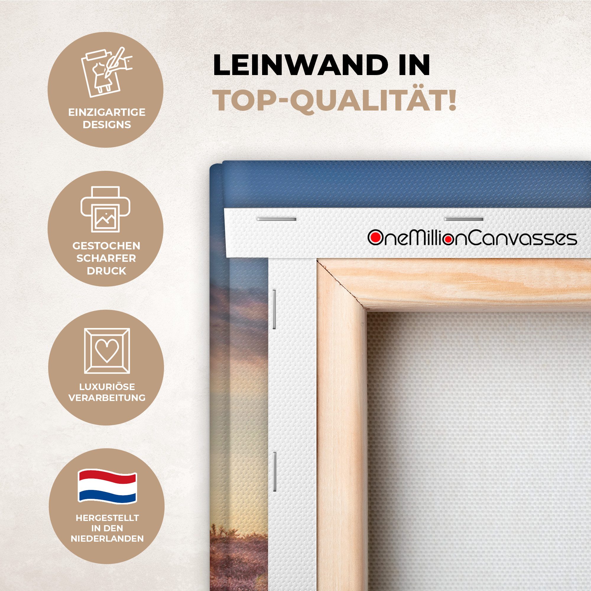 OneMillionCanvasses® Leinwandbild Heide bei Sonnenuntergang, Fotodruck (1 St), Wandbild, Deko Schlafzimmer Wohnzimmer Flur 20x20 cm