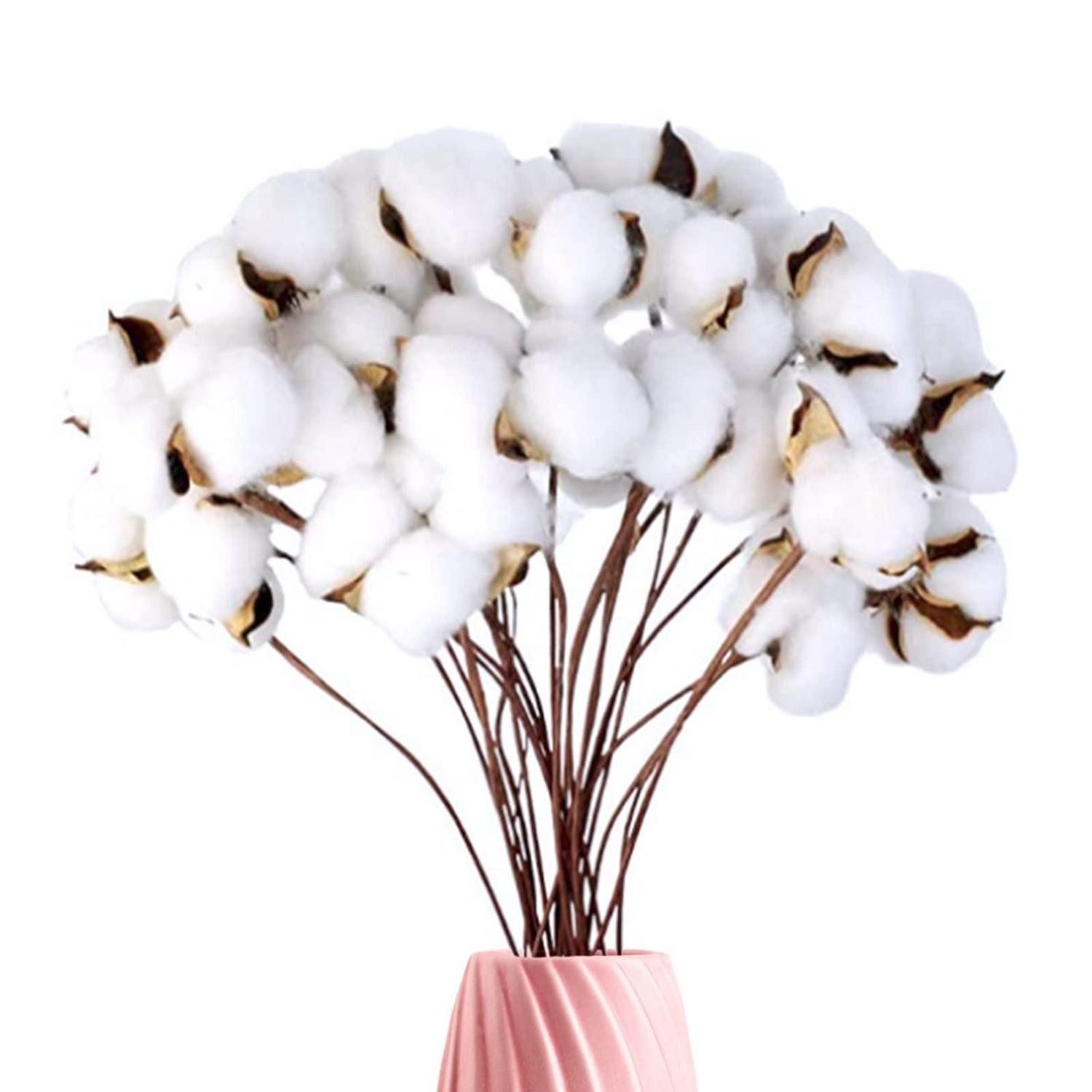 Trockenblume Baumwollblüten getrocknet weiß 20 Stk. 40cm, LuxusKollektion, Höhe 5 cm