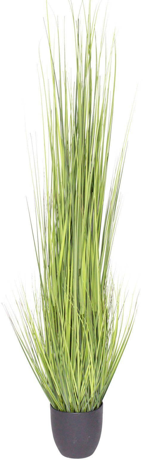 Kunstgras Gras Festuca Gras, Botanic-Haus, Höhe 150 cm