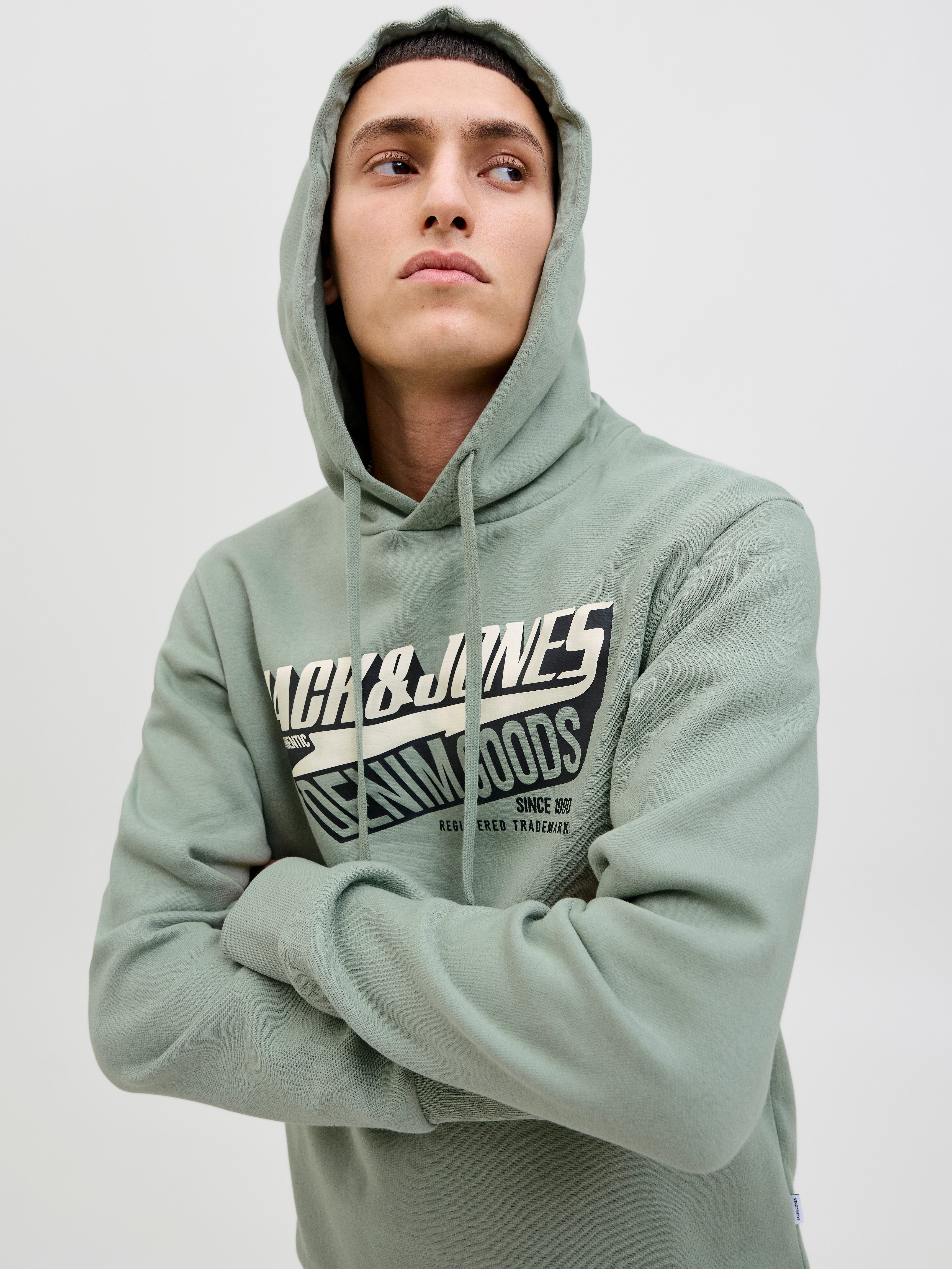 Jack & Jones Kapuzensweatshirt JJELOGO SWEAT HOOD 2 COL 25/26 NOOS mit stylischem Print