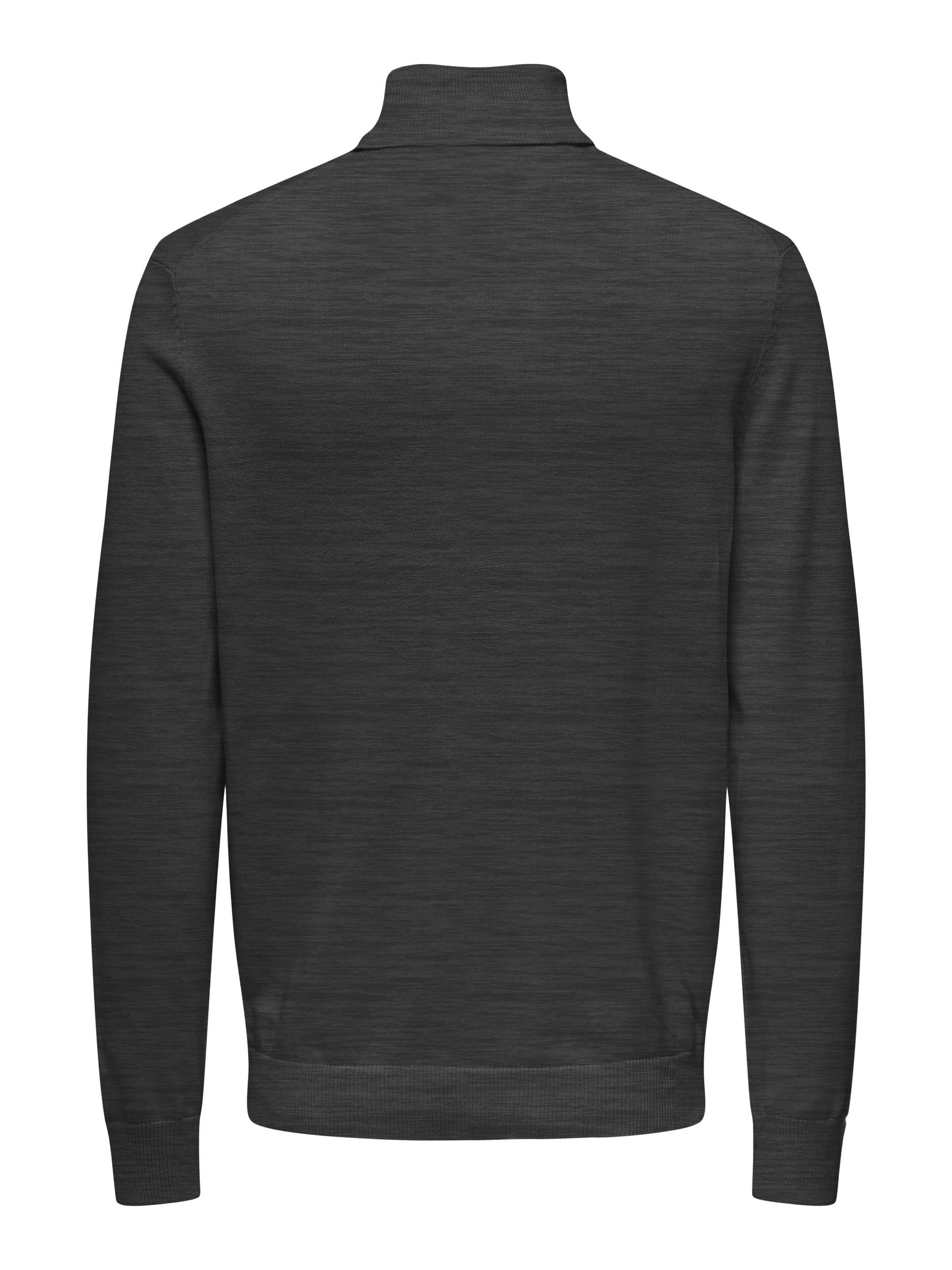ONLY & SONS Rollkragenpullover ONSALEX REG günstig online kaufen