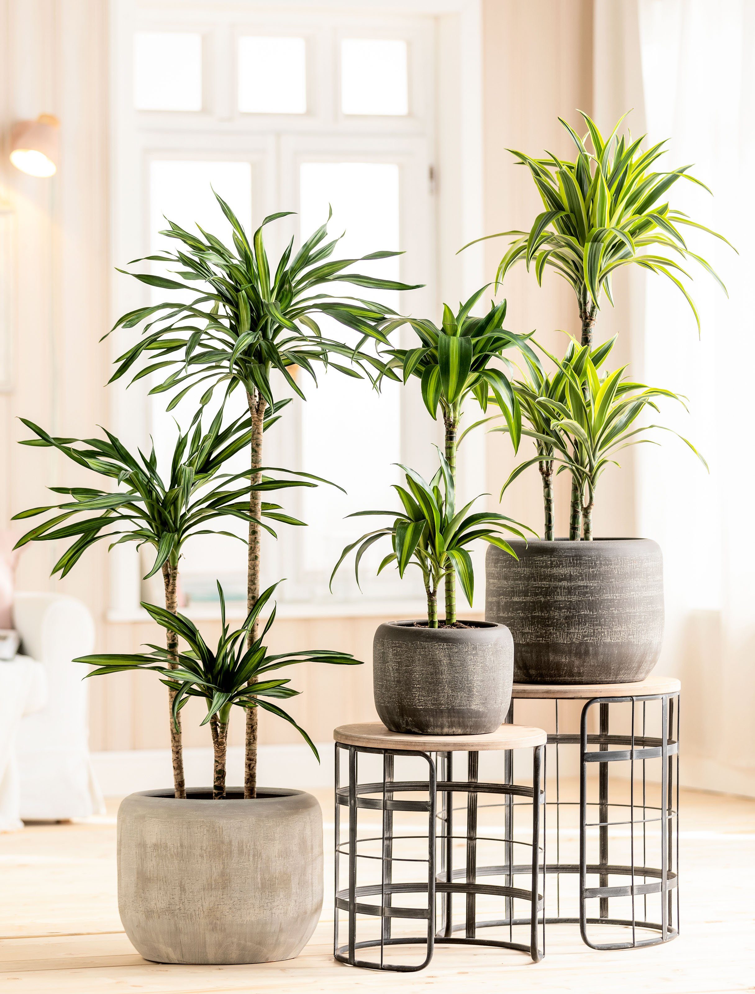 Dehner Übertopf Romy, Ø 24 - 29 cm, Höhe 20 - 26 cm, rund, Keramik, Übertopf mit reliefartiger Oberfläche, für Zimmerpflanzen