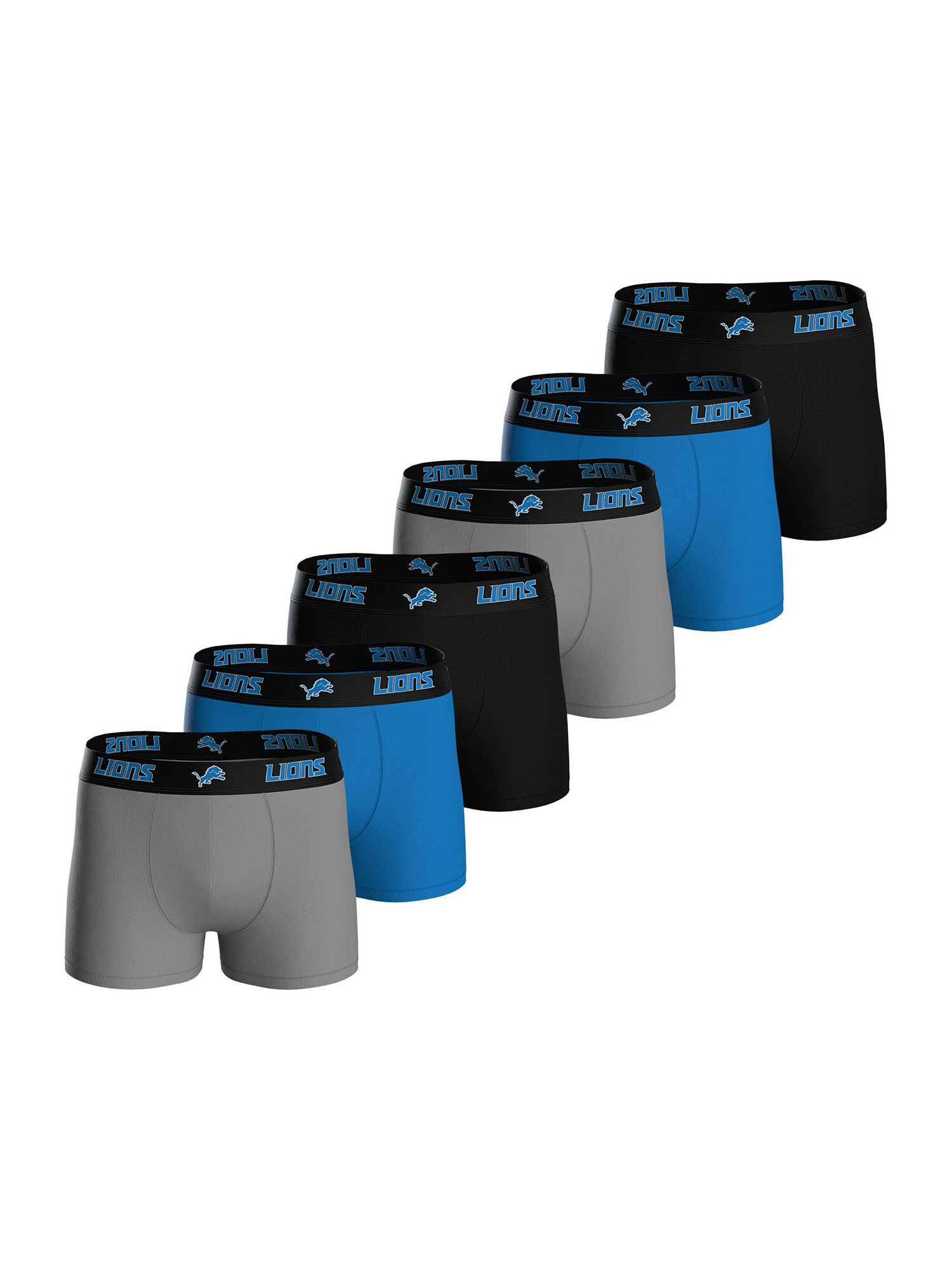 Boxer Detroit Lions