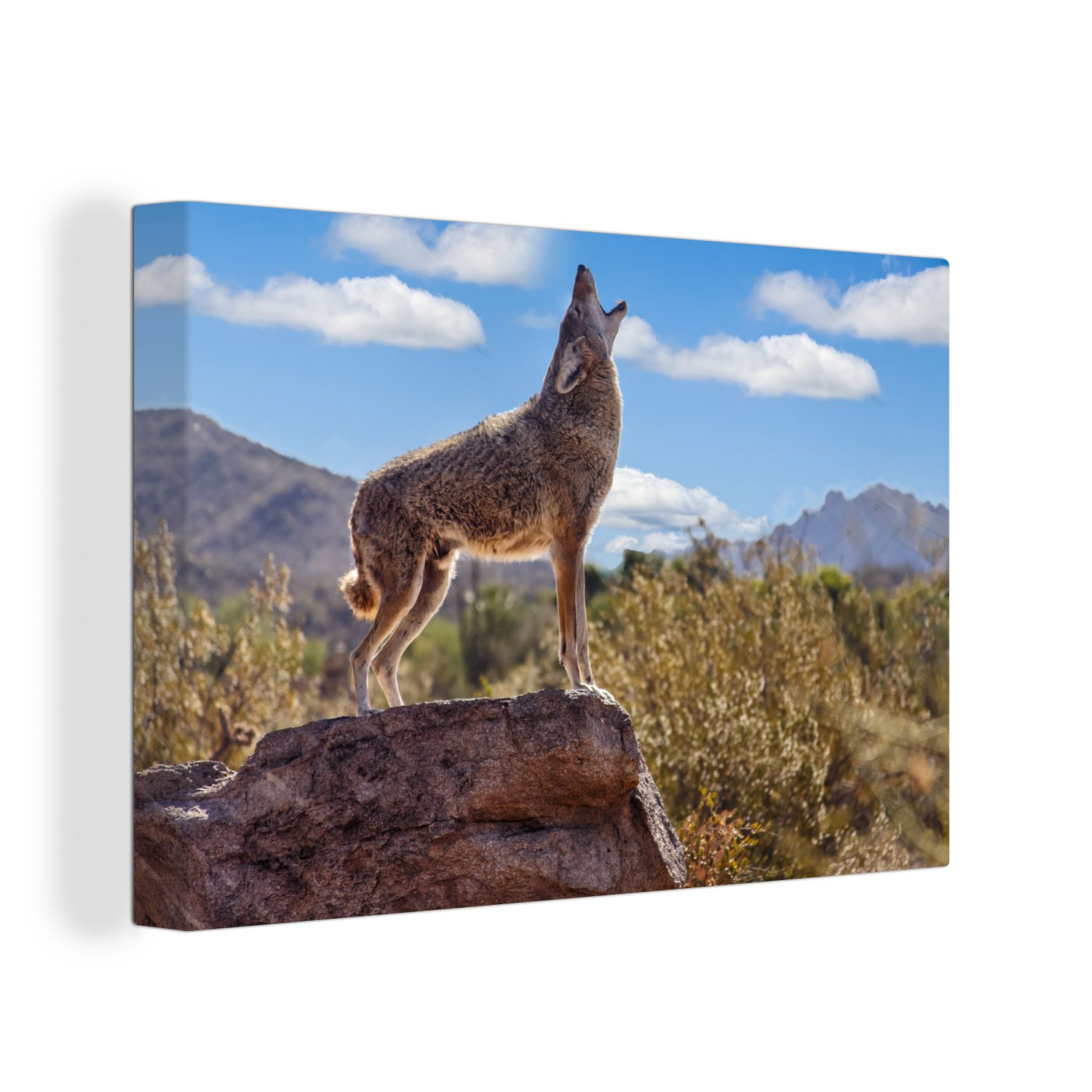 Rock cm Leinwandbild Aufhängefertig, 30x20 - (1 - Wolf Wandbild St), OneMillionCanvasses® Leinwandbilder, Amerika, Wanddeko,