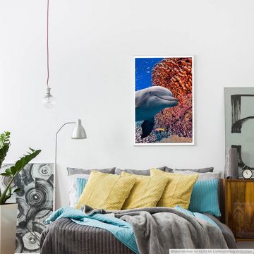 Sinus Art Poster Süßer Delfin neben buntem Korallenriff 60x90cm Poster