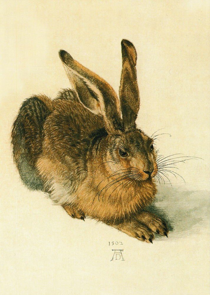 Postkarte Kunstkarte Albrecht Dürer "Der Hase"