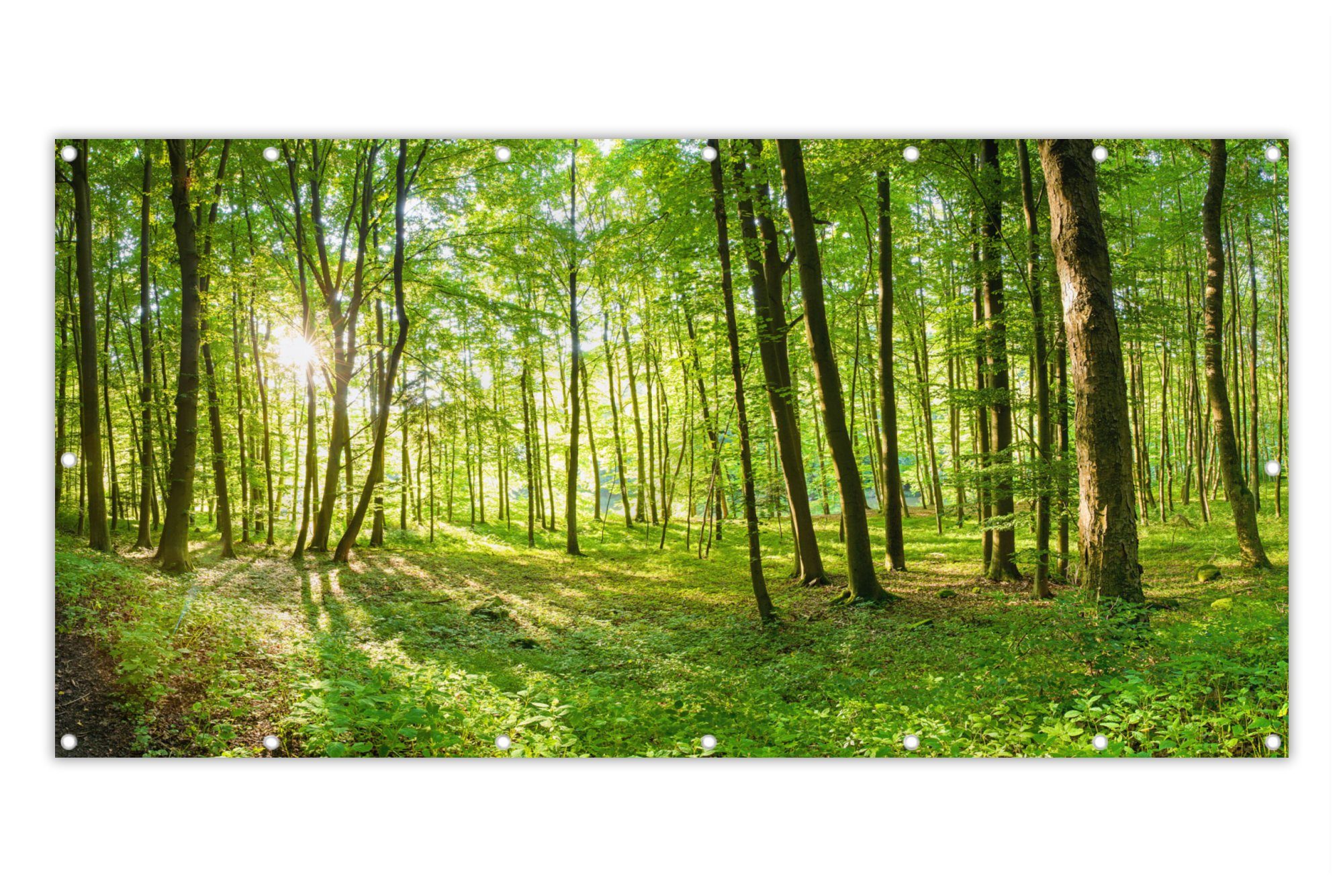MuchoWow Balkonsichtschutz Natur - Bäume - Wald - Grün - Sonnenlicht (1-St) Balkon Sichtschutz 90x200, Windschutz für Zaun PVC, 200x90 cm
