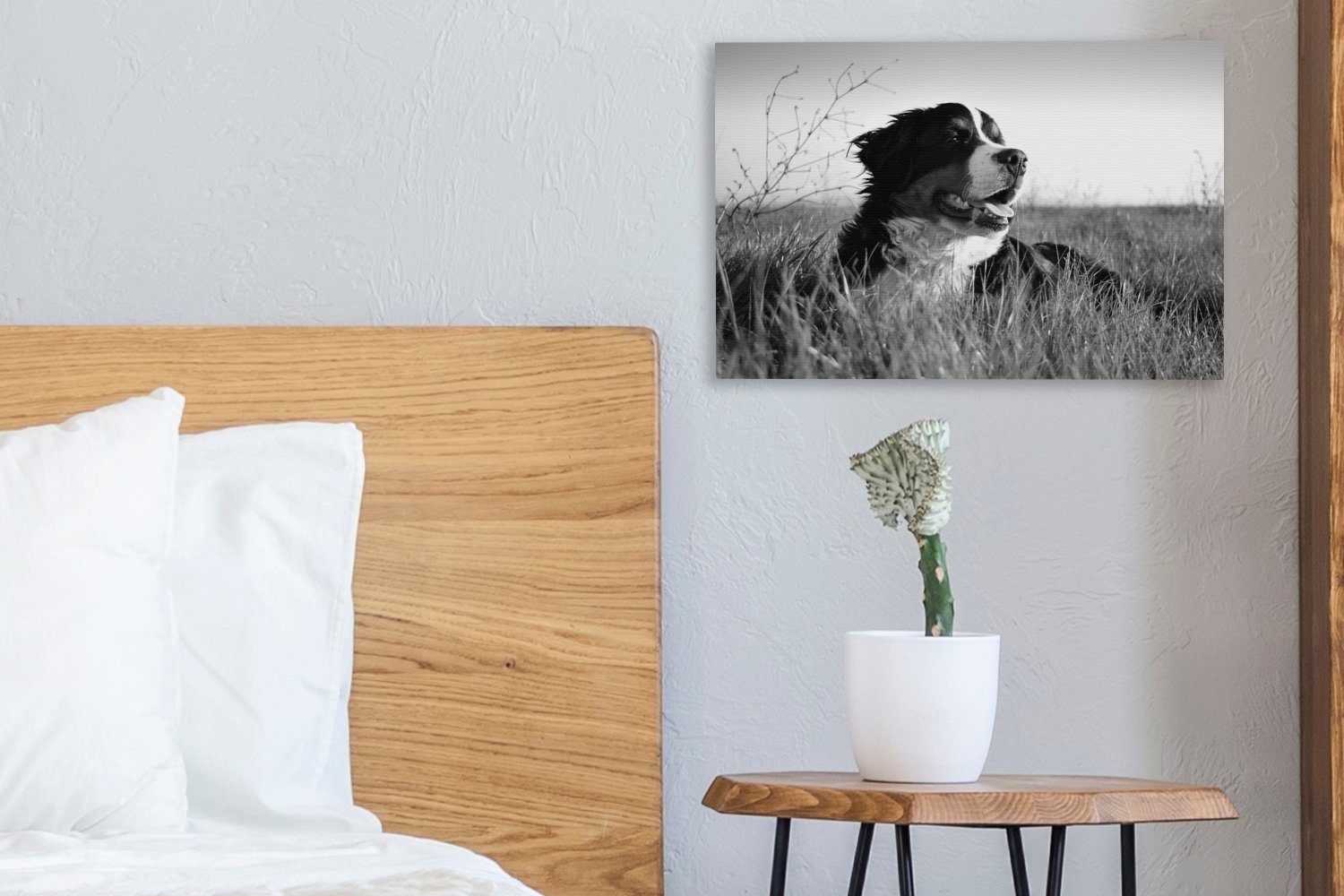 OneMillionCanvasses® Leinwandbild 30x20 (1 und im Wandbild Gras St), Leinwandbilder, Sennenhund - Aufhängefertig, weiß, schwarz Berner liegend cm Wanddeko