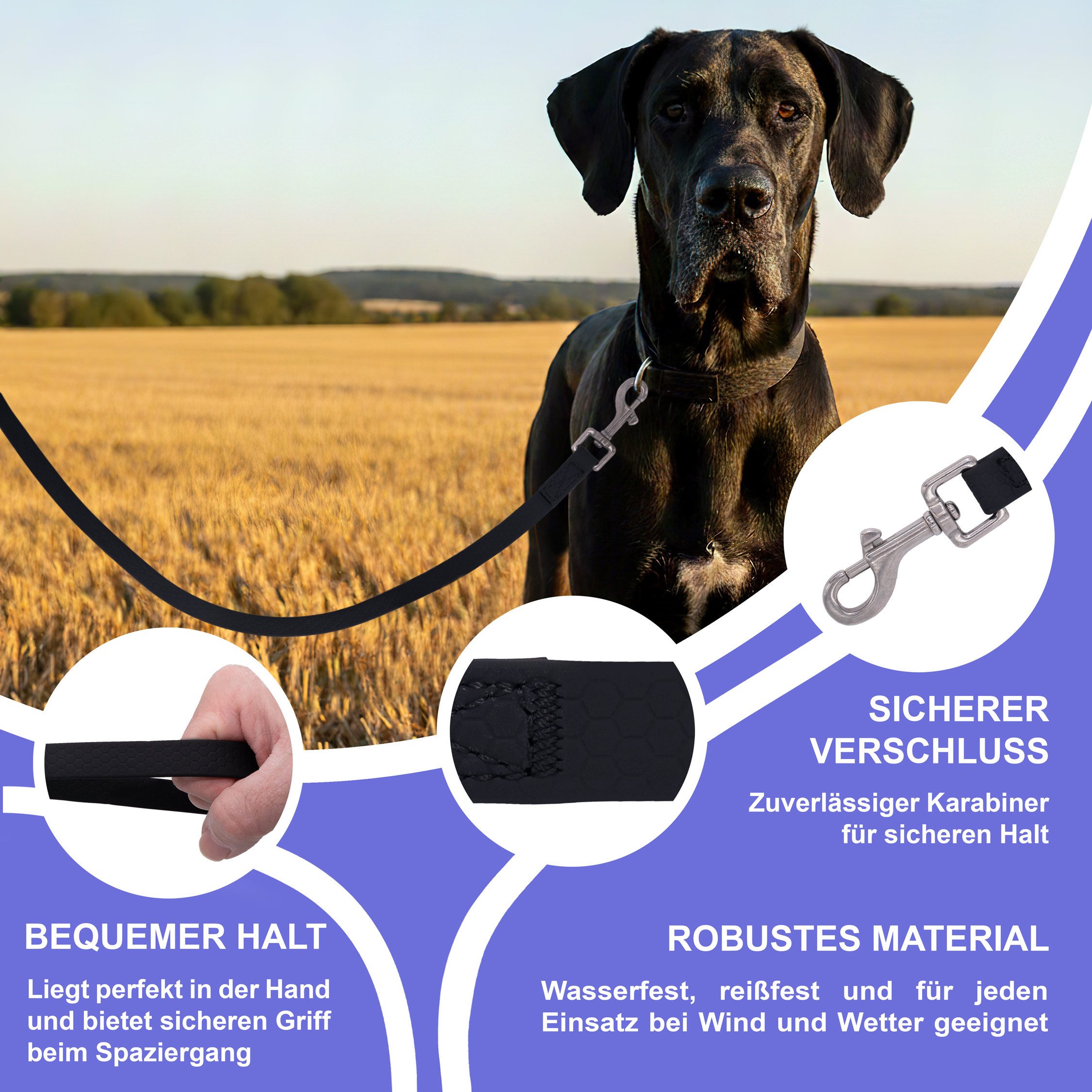 Reichstadt Hundeleine RS Pets Führleine Texturierte PVC 25RSP085, PVC, Weiche Handschlaufe mit Soft-Wrist-Strap