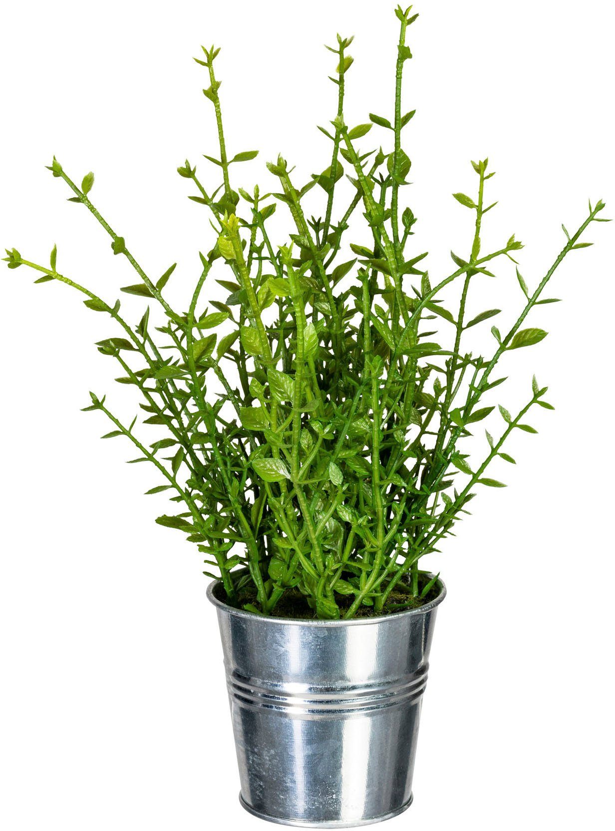 Kunstpflanze Kräutermix im Kräuter, Zinktopf cm Höhe Creativ green, 25